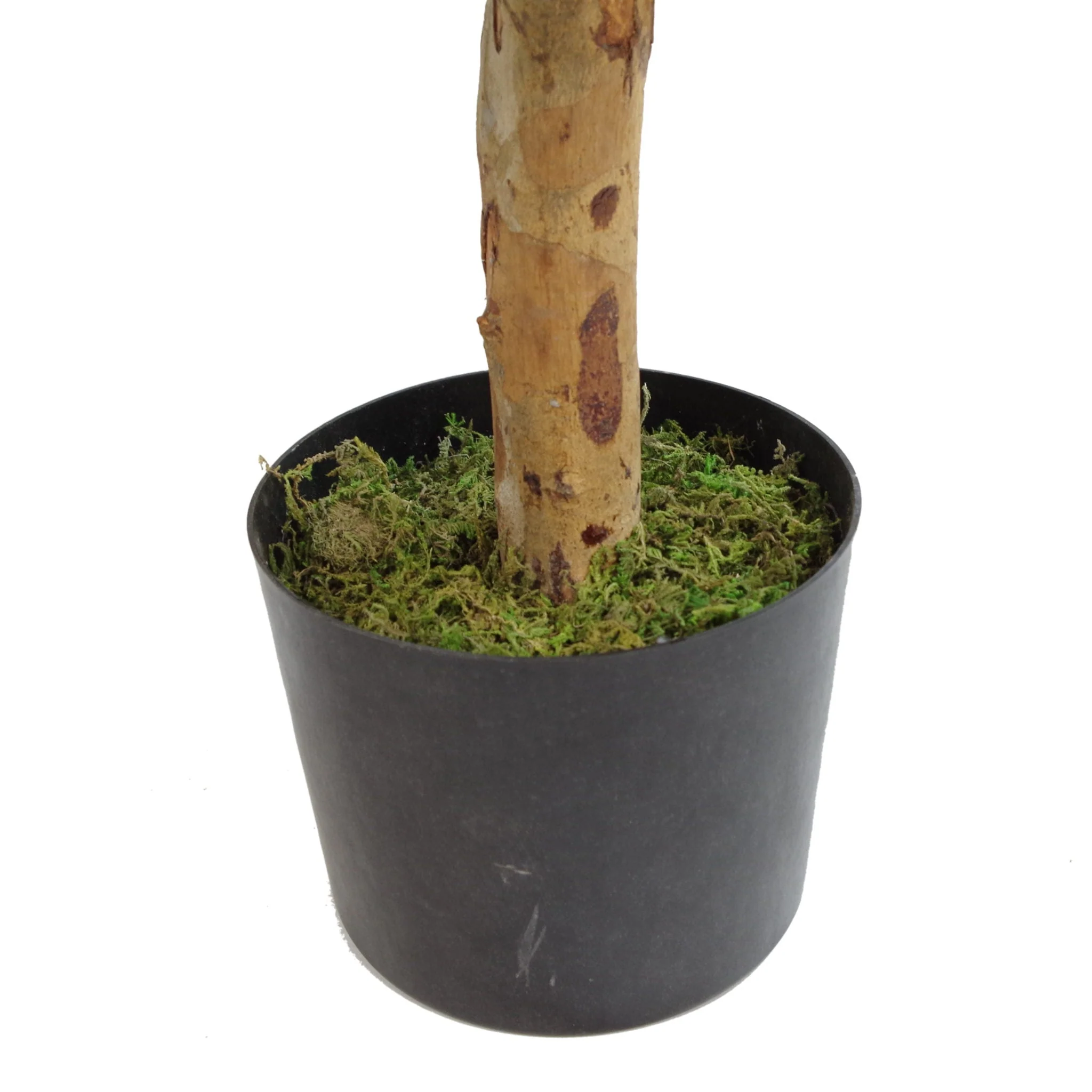 100cm Artificial Dracaena Plant Tree with Pot - Premium Range - Image 3