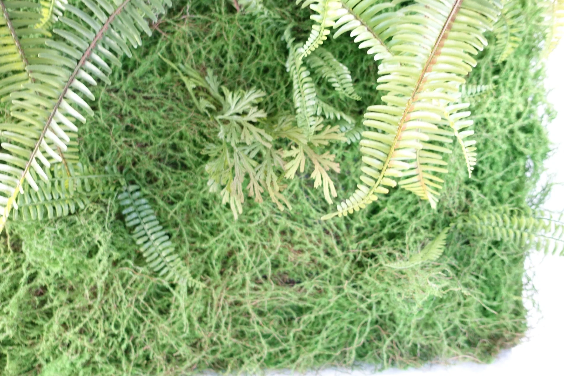 100cm Artificial Green Wall Fern Large - Image 4