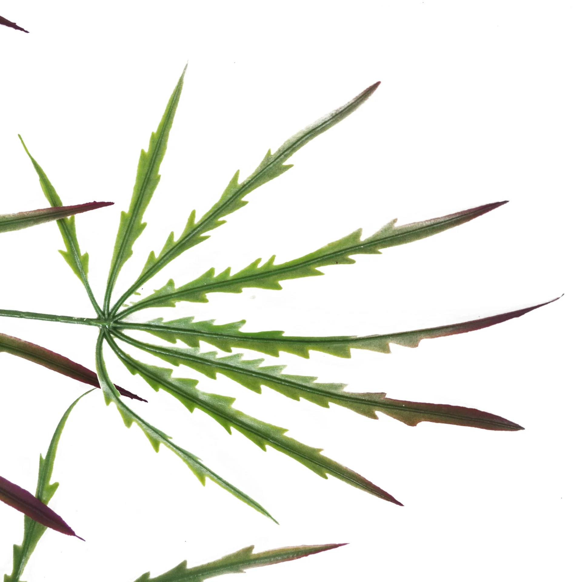 100cm Artificial Hanging Acer Plant - Image 3