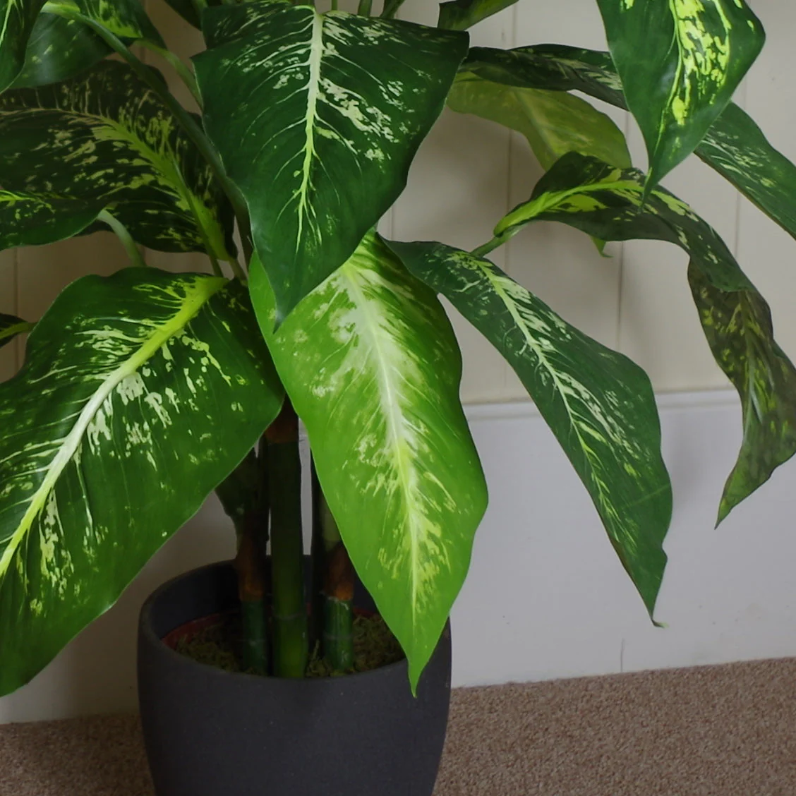100cm Large Foxs Aglaonema (Spotted Evergreen) Tree Artificial Plant - Image 4