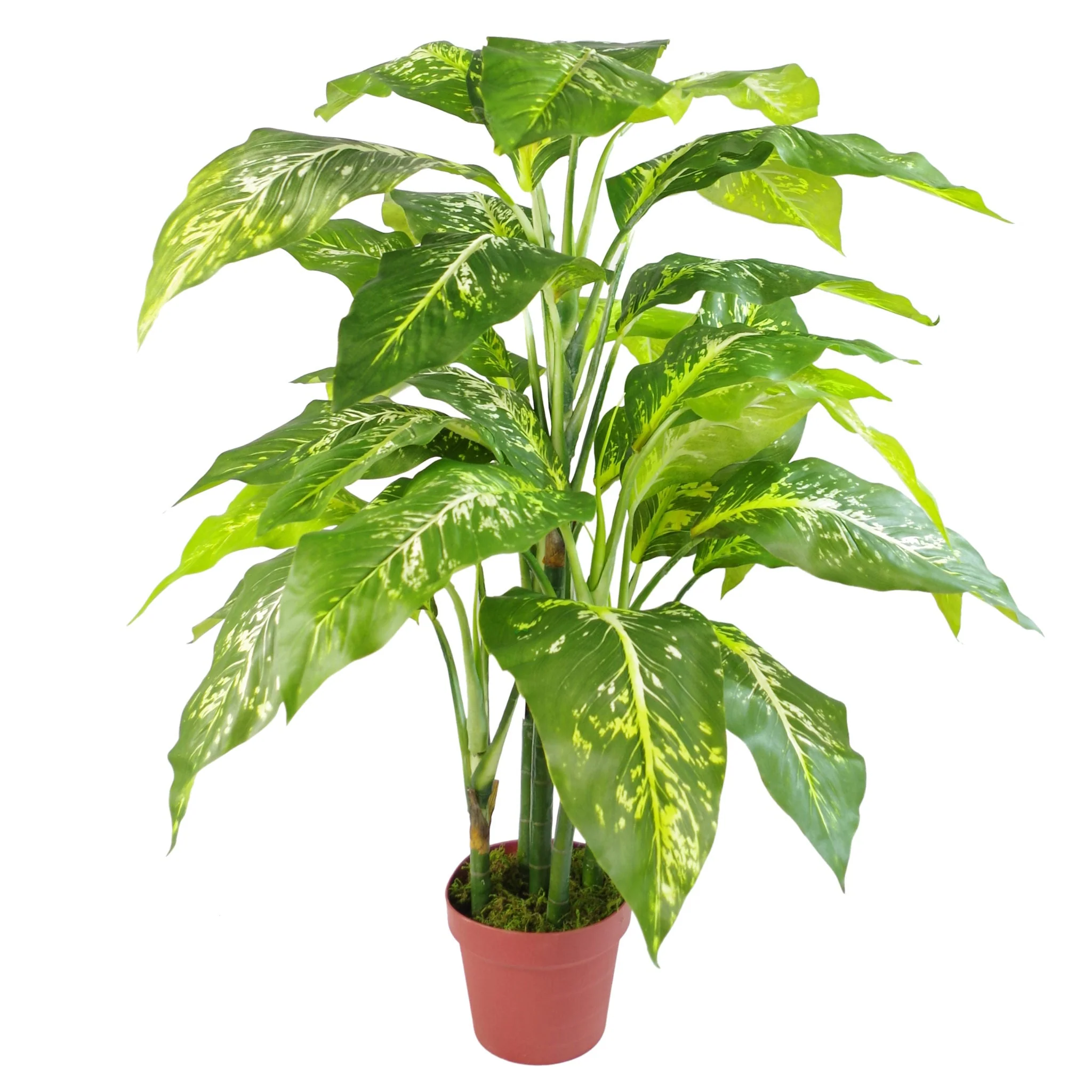 100cm Large Foxs Aglaonema (Spotted Evergreen) Tree Artificial Plant with Gold Metal Planter - Image 3