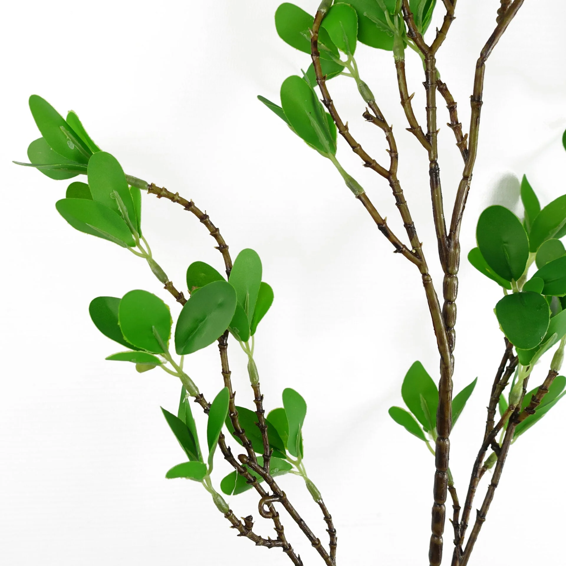 100cm Mini Leaf Ficus Stem - Image 3