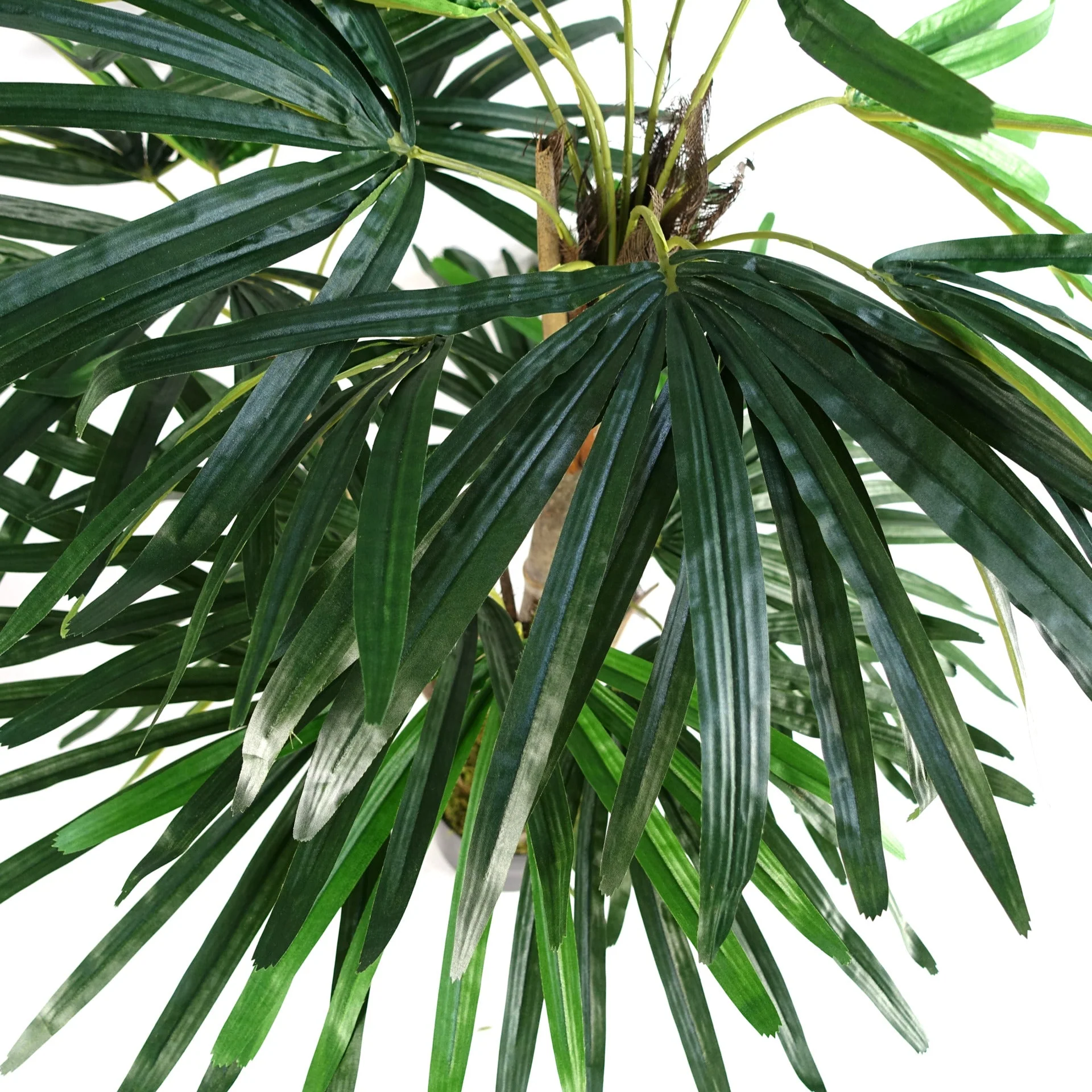 100cm Raphis Palm Artificial Tree - Image 2