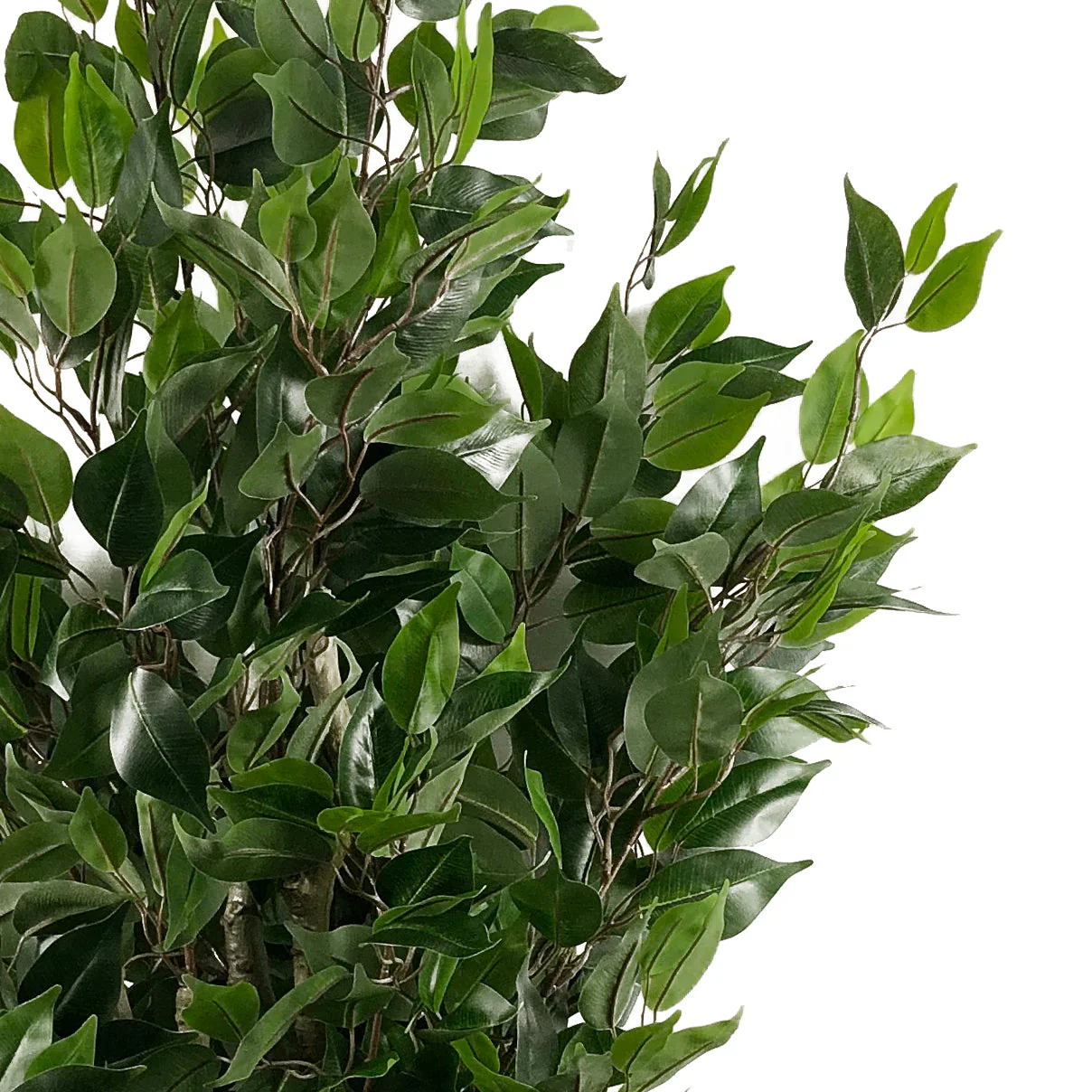110cm Artificial Evergreen Twist Ficus Tree - Image 4