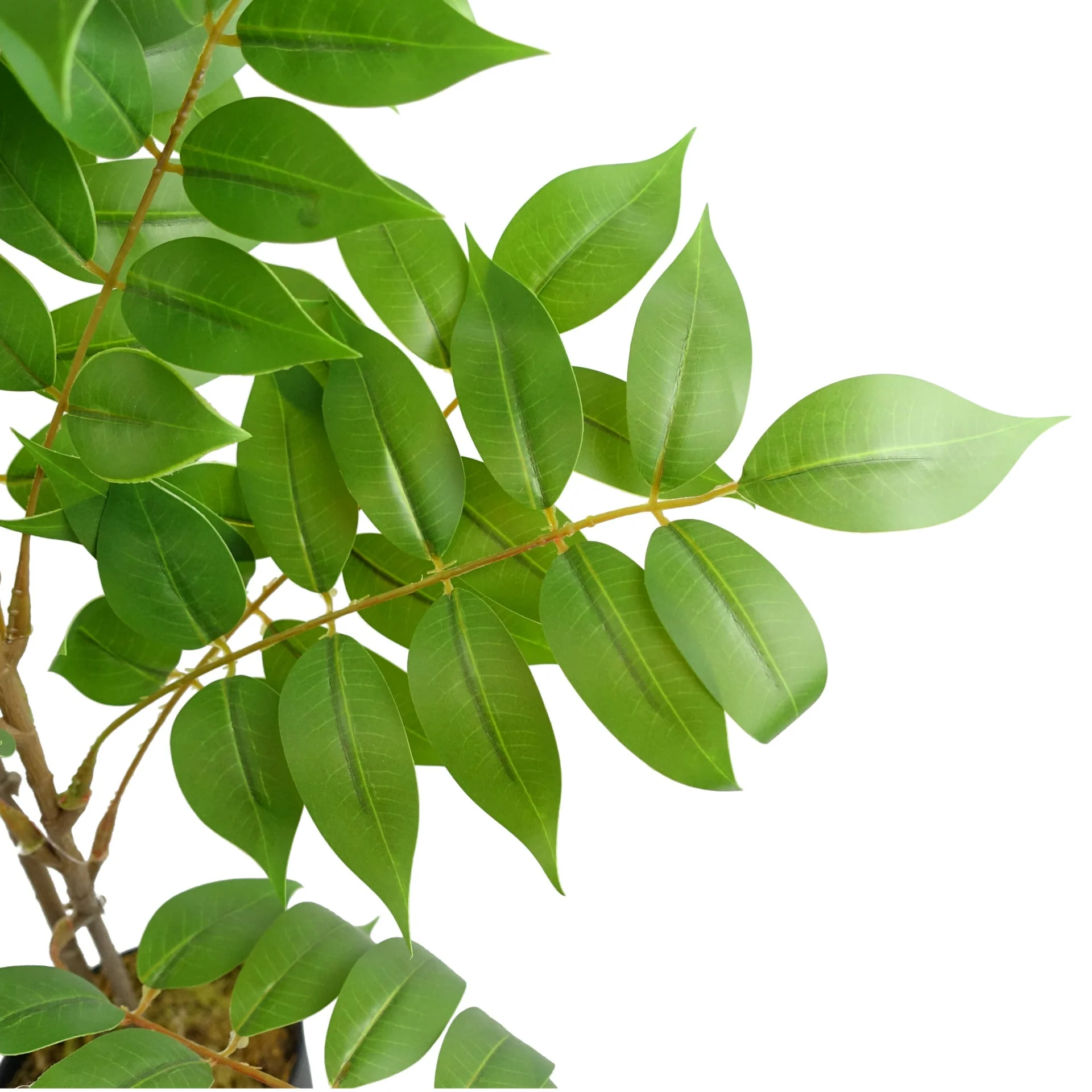 110cm Artificial Toona Sinensis Tree Evergreen - Image 4