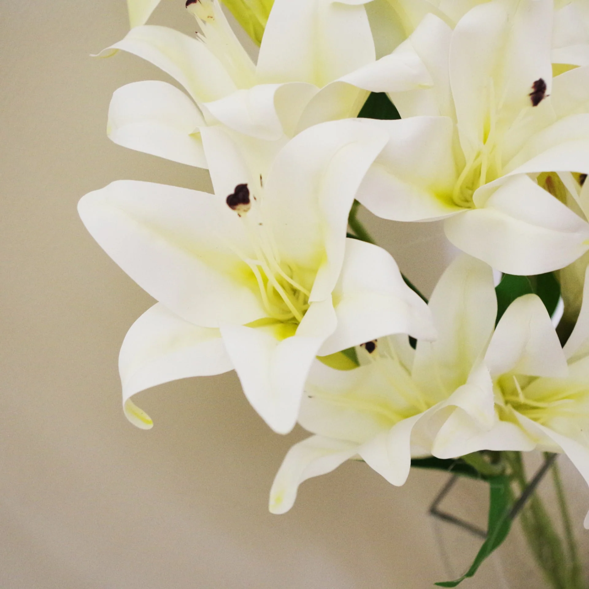 12 x 60cm Artificial Lily Stem White (144 Flowers) - Image 2