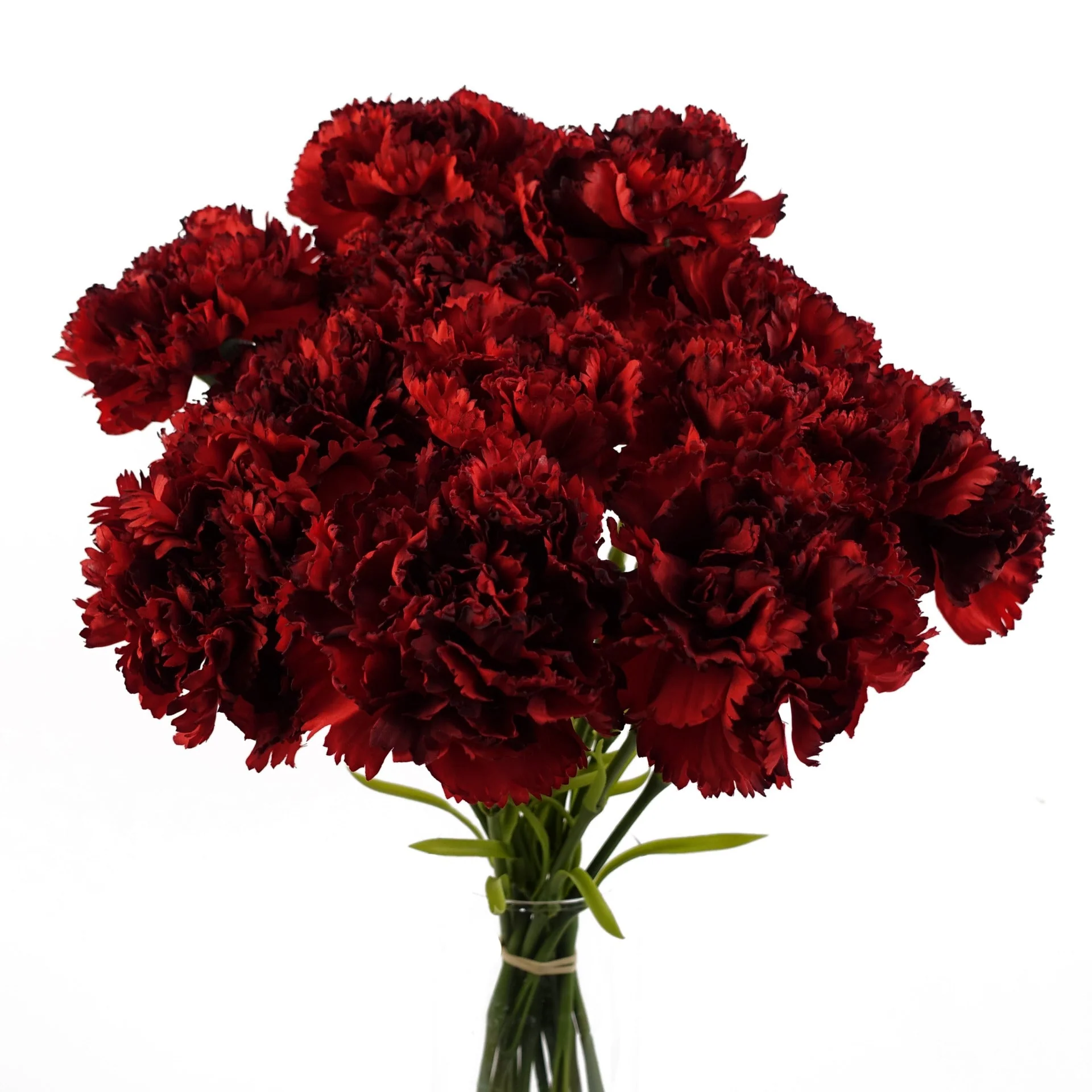 12 x Red Carnation Artificial Flowers - Image 2