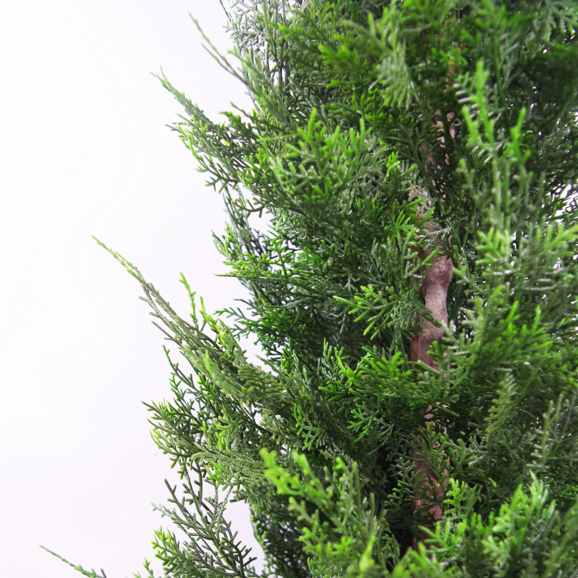 120cm Artificial Cypress Topiary - Image 4