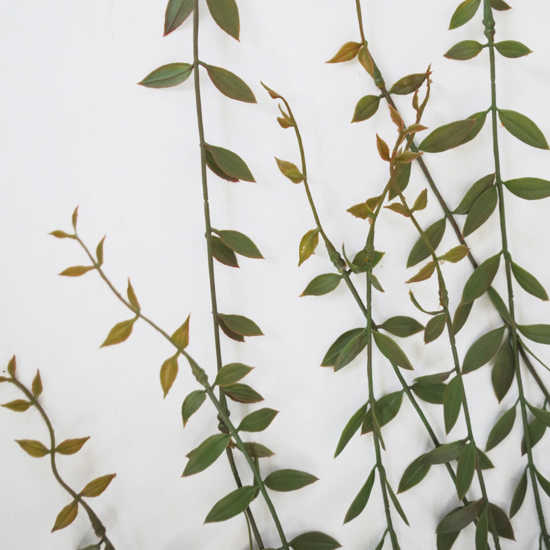 120cm Artificial Hanging String of Pearls - Image 2