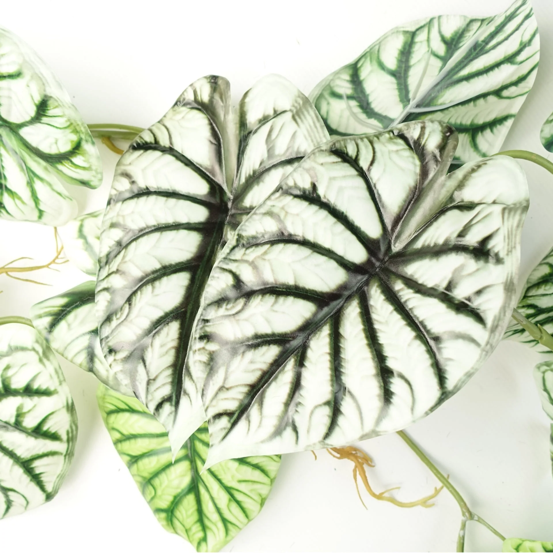 120cm Artificial Hanging Trailing Plant Alocasia Dragon Scale Light - Image 2