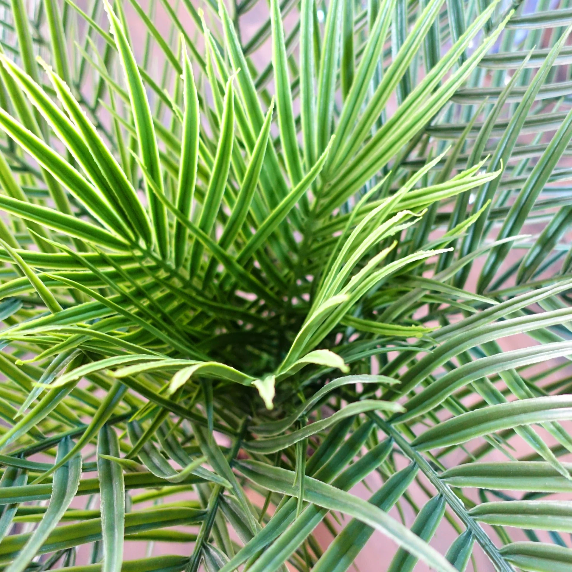 120cm Cycas Palm Tree UV Resistant Outdoor - Image 2