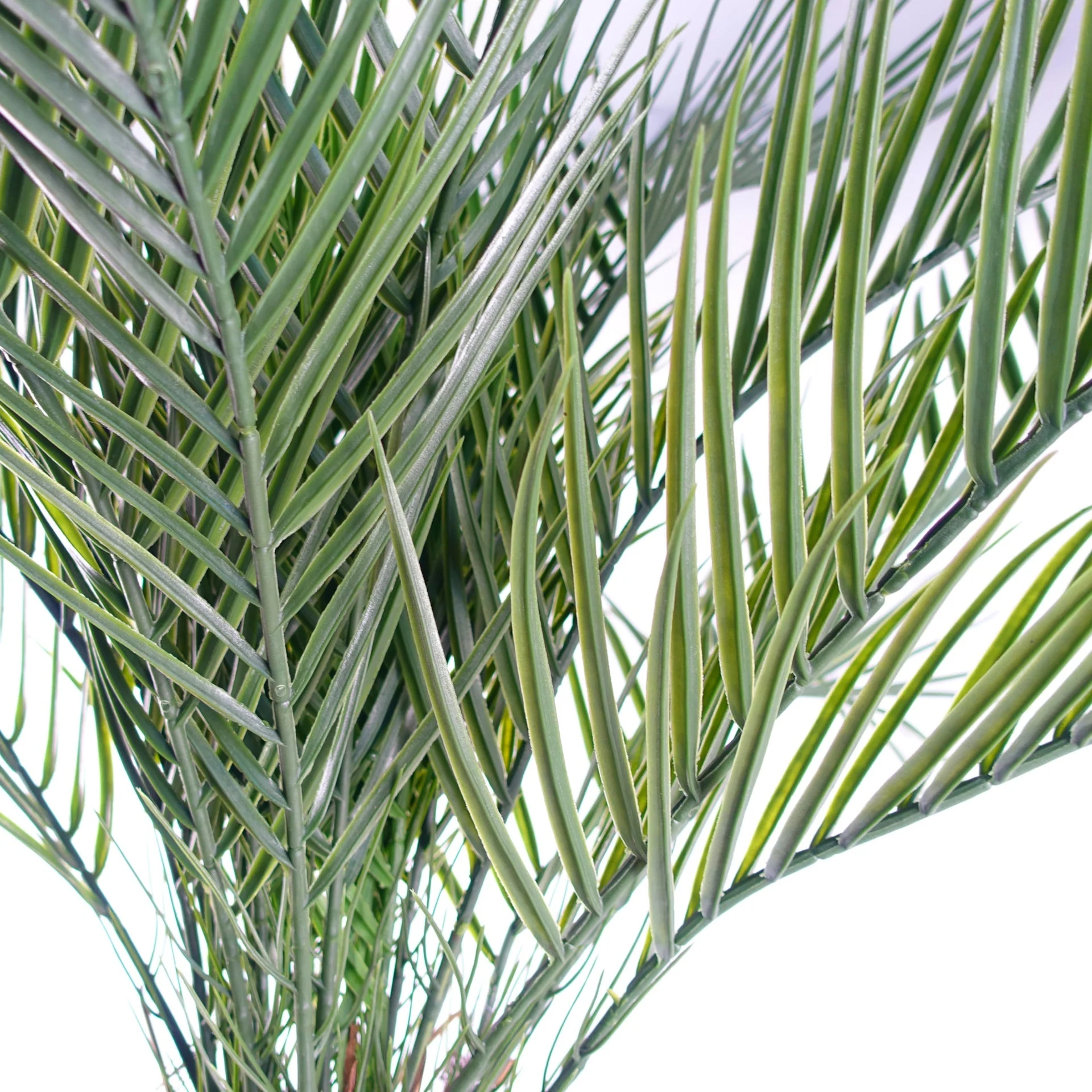 120cm Cycas Palm Tree UV Resistant Outdoor - Image 3