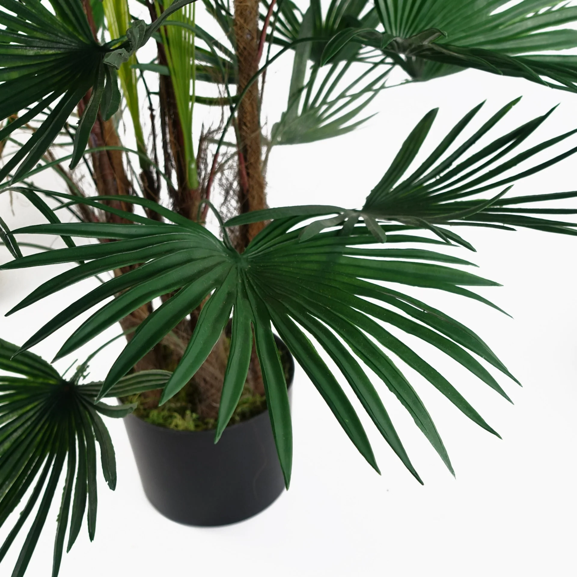 120cm Fan Palm Artificial Tree - Image 3