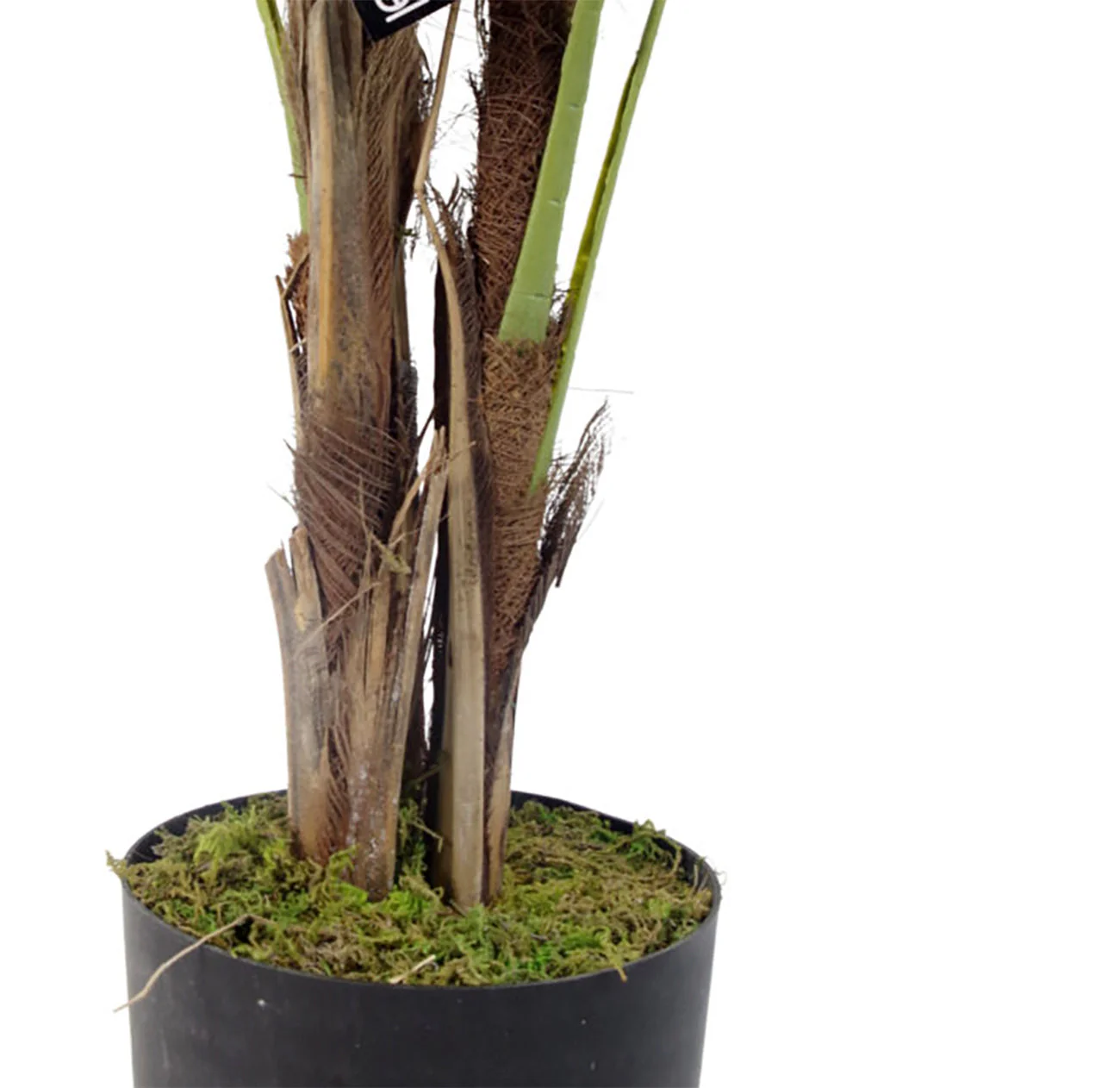 120cm Leaf Large Artificial Palm Tree - Natural - Image 2