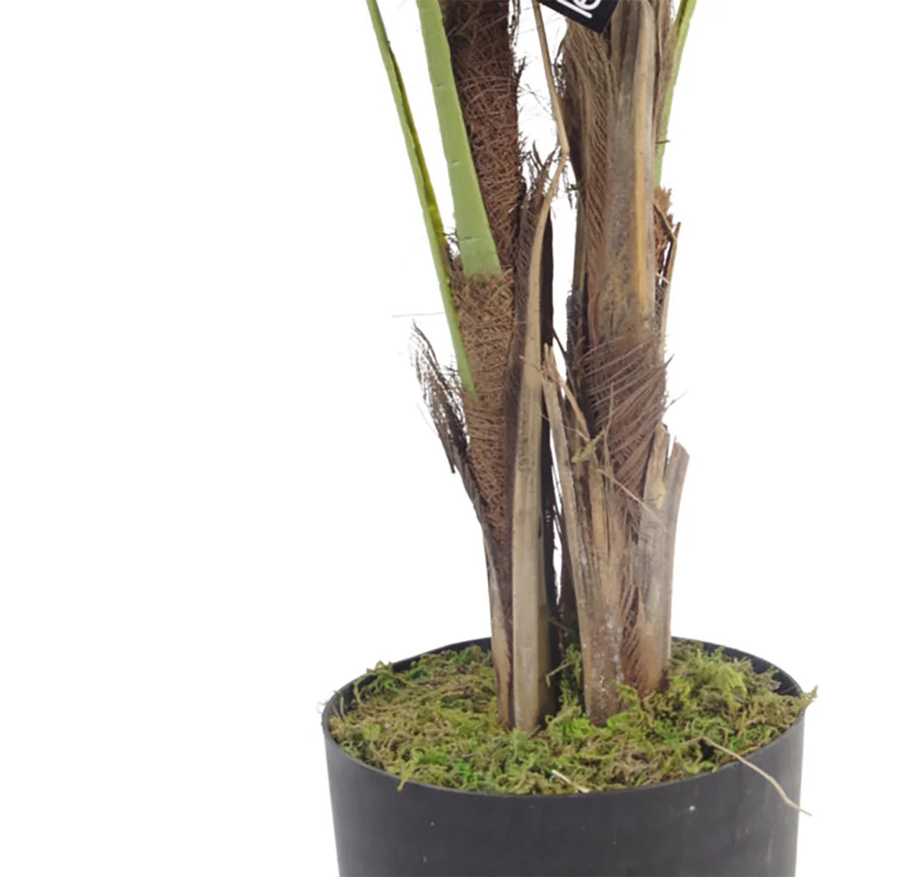 120cm Leaf Large Realistic Artificial Palm Tree - Natural - Image 2