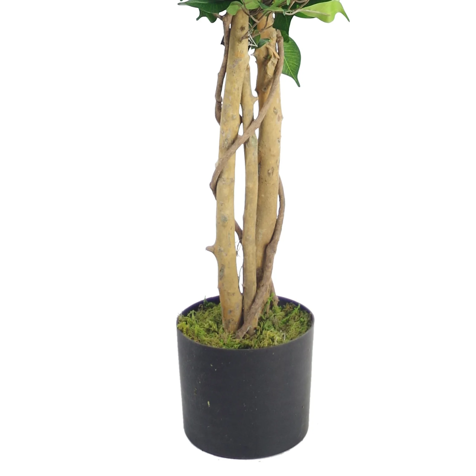120cm Premium Artificial Ficus Twist Tree - Image 3