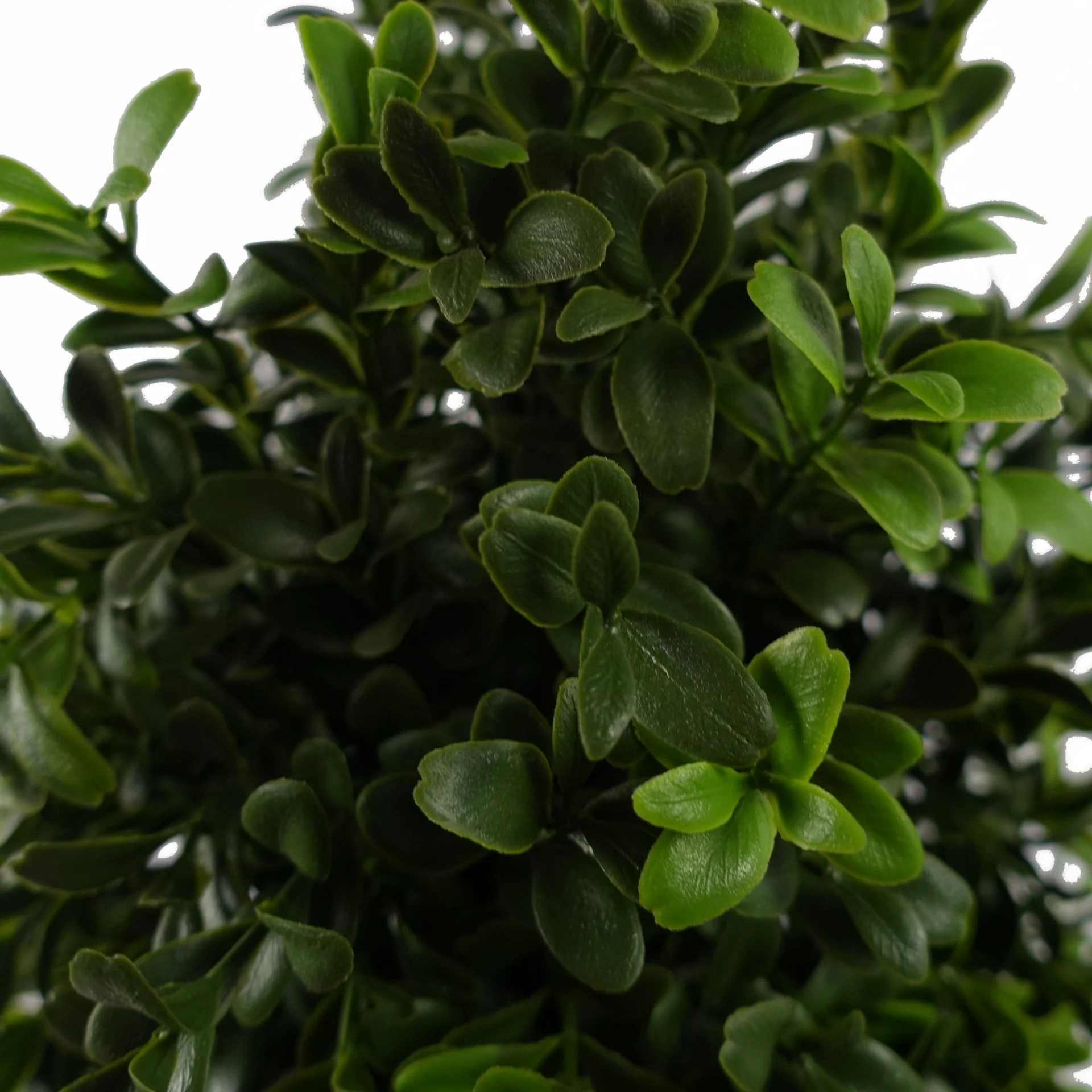 120cm Sprial Boxwood Artificial Tree UV Resistant Outdoor - Image 2