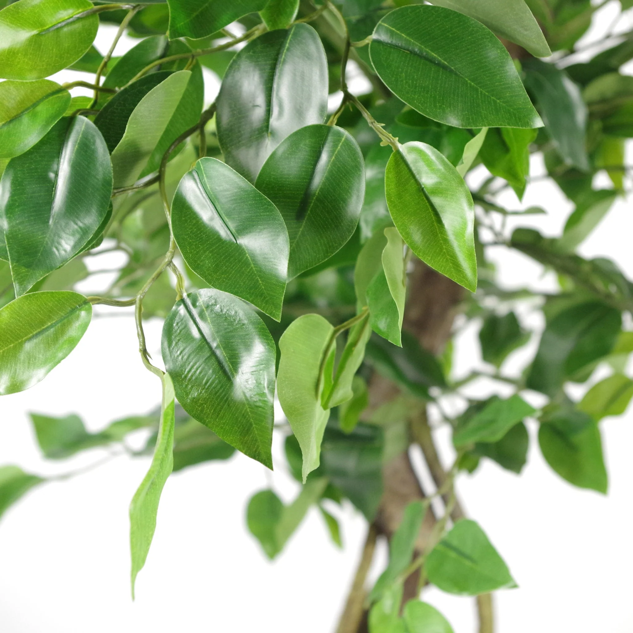 120cm Twisted Trunk Artificial Japanese Fruticosa Style Ficus Tree - Image 2