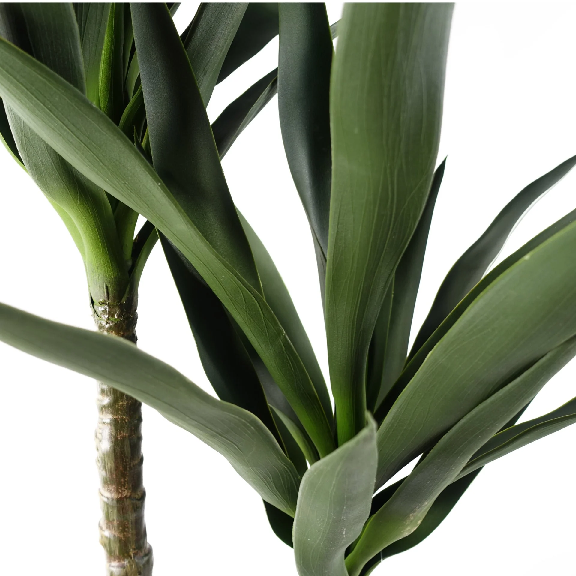 120cm Yucca Tree UV Resistant Outdoor - Image 2