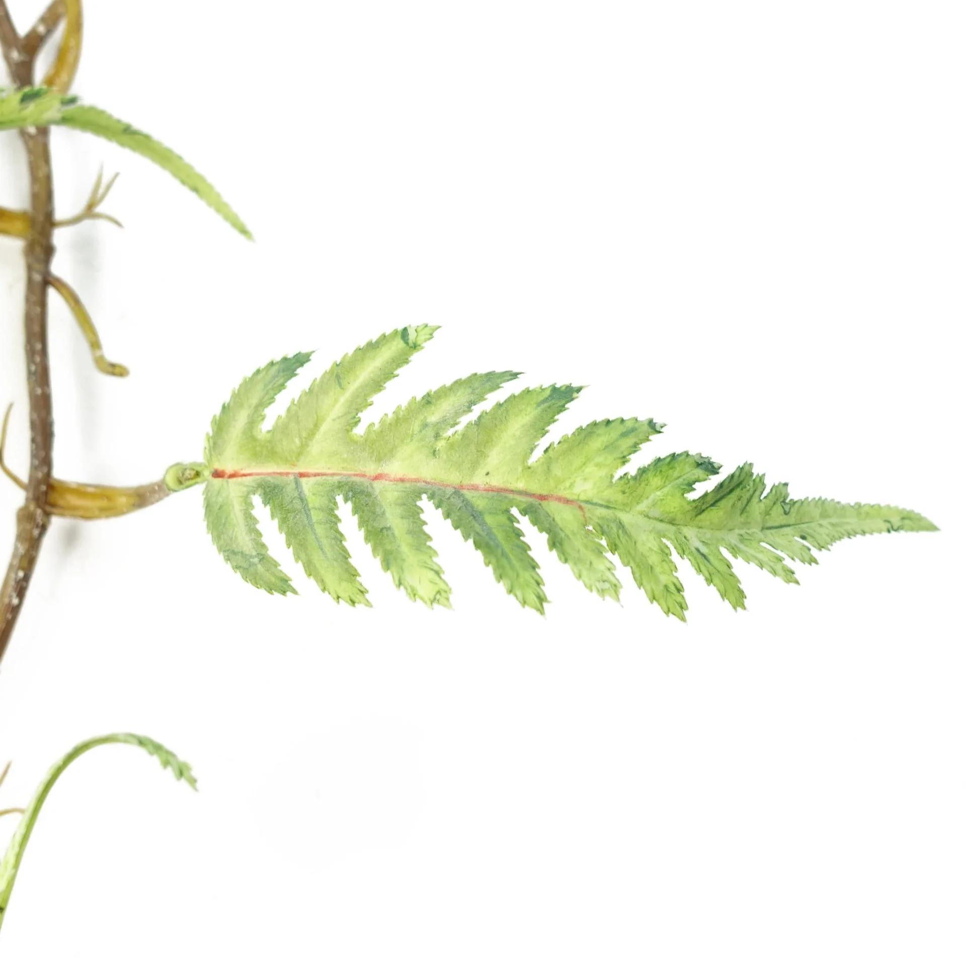 125cm Artificial Hanging Trailing Fern Plant - Image 3