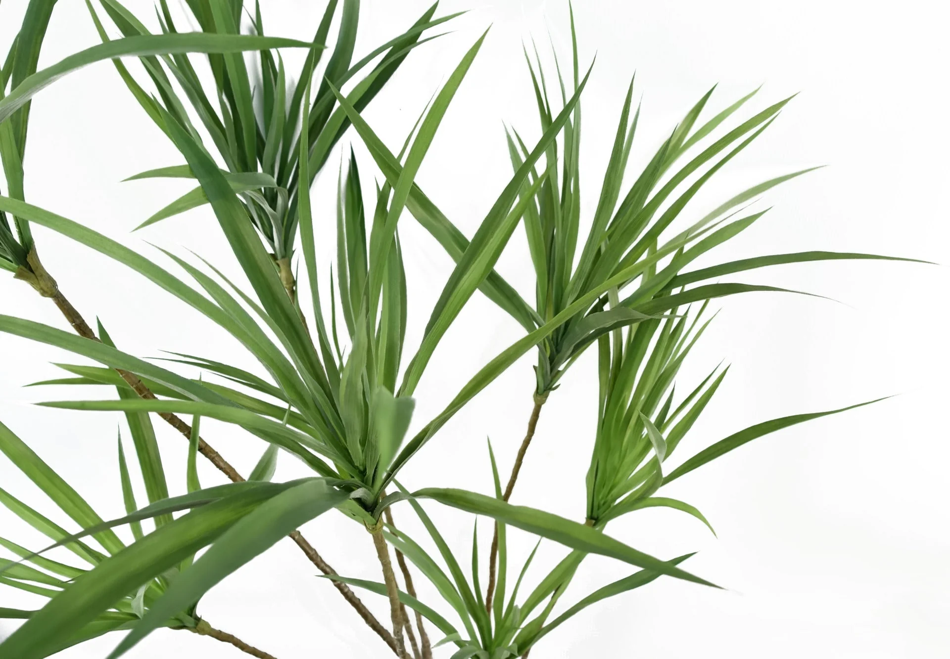 125cm Dragon Tree Dracaena Plant Natural Look Artificial - Image 2