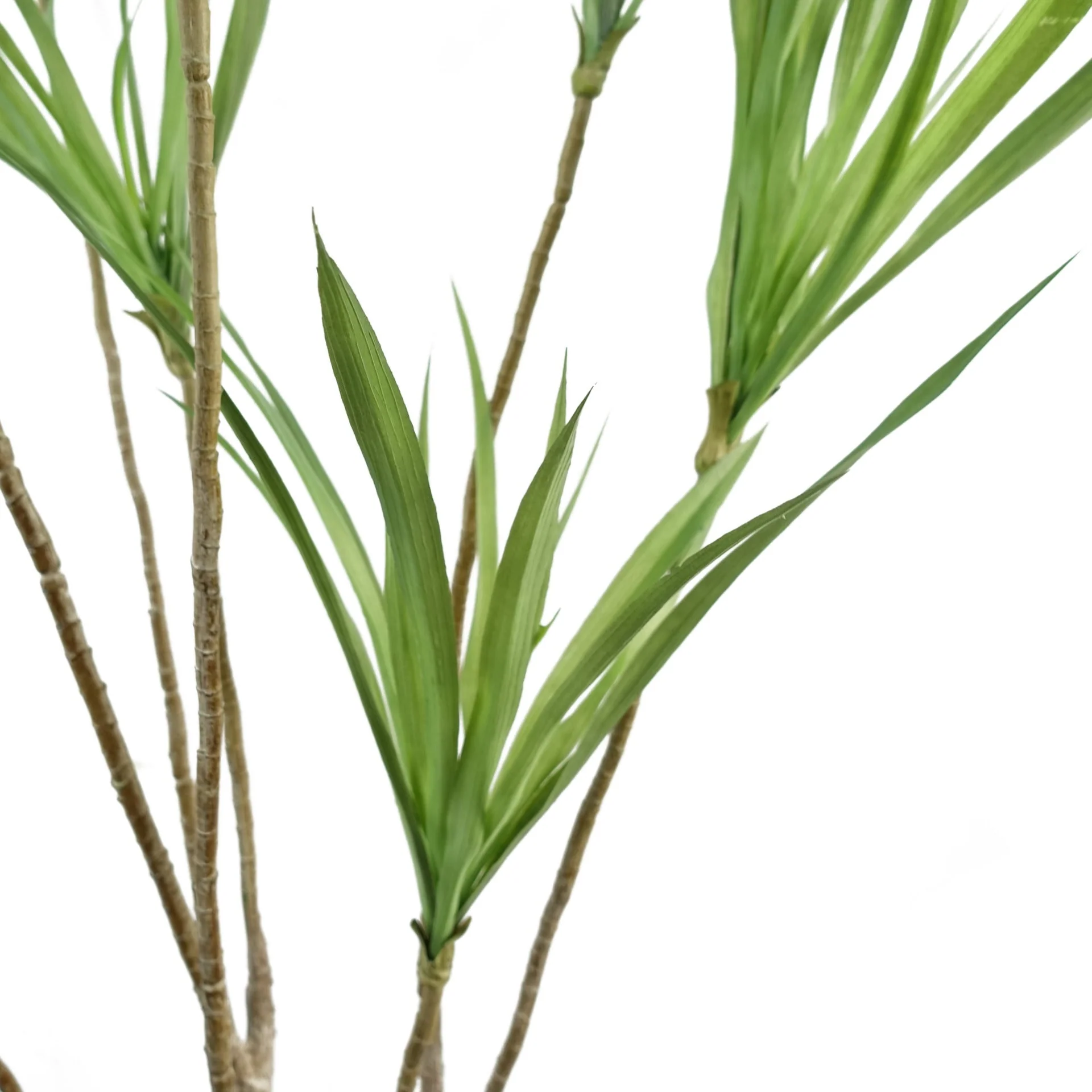125cm Dragon Tree Dracaena Plant Natural Look Artificial - Image 3