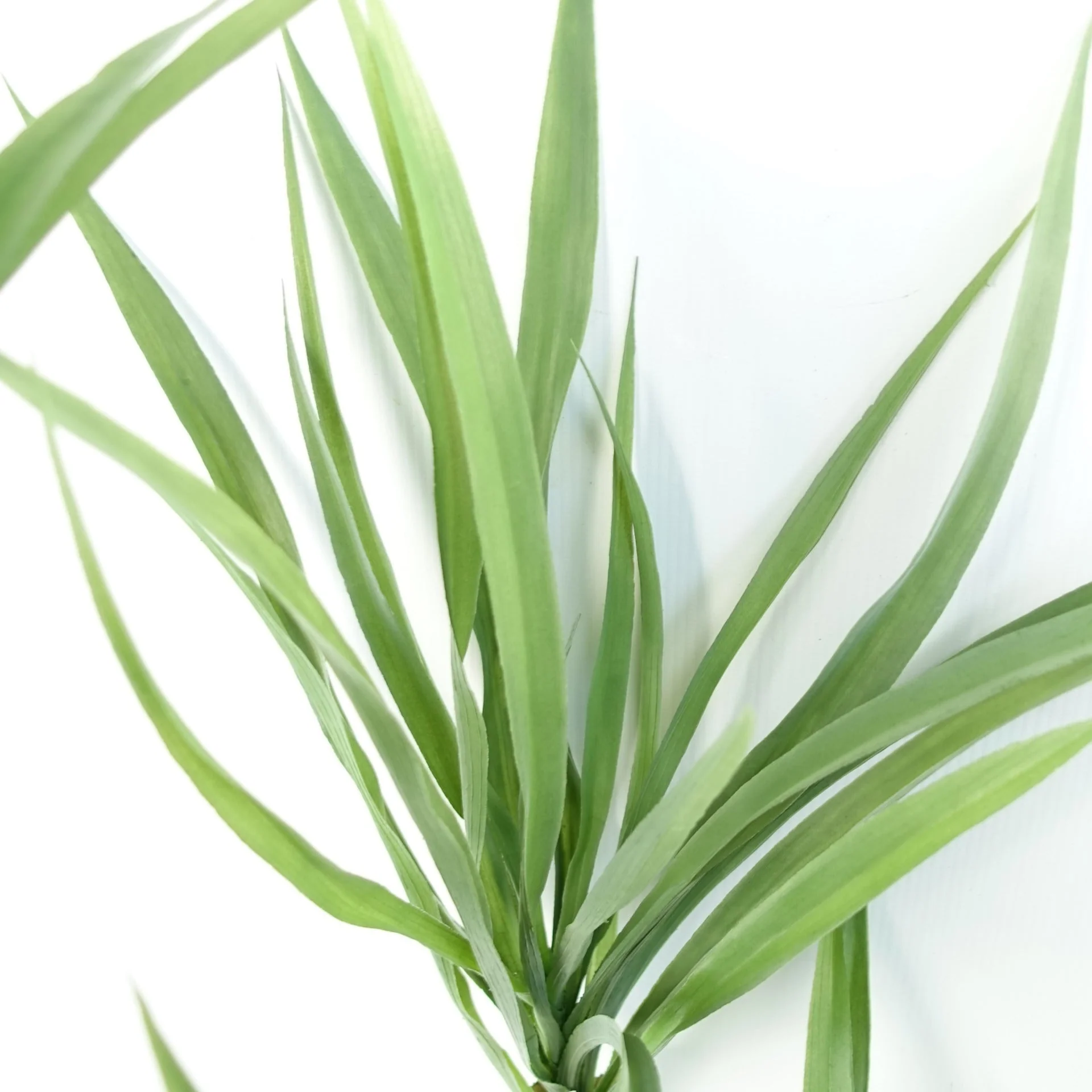 125cm Dragon Tree Dracaena Plant Natural Look Artificial - Image 4