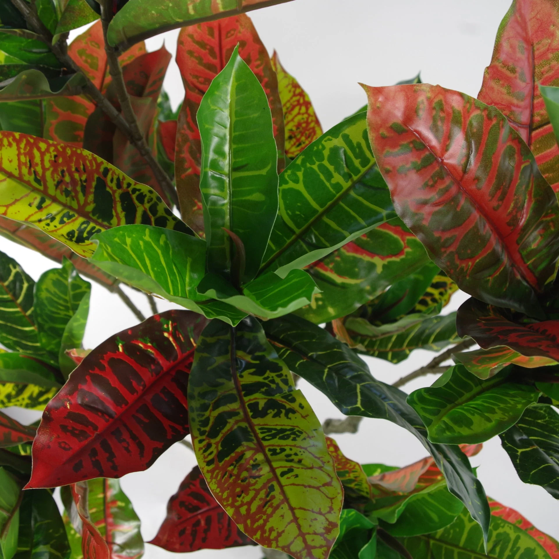 130cm Artificial Codiaeum Multicoloured House Plant - Image 4