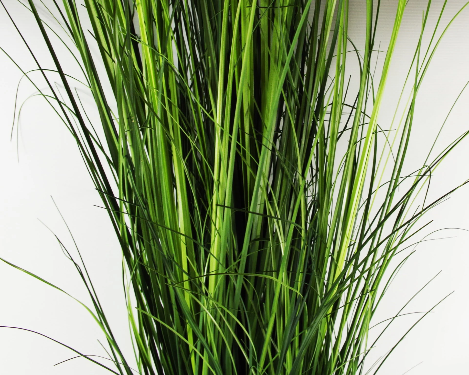 130cm Artificial Onion Grass Plant with Gold Metal Planter - Image 2
