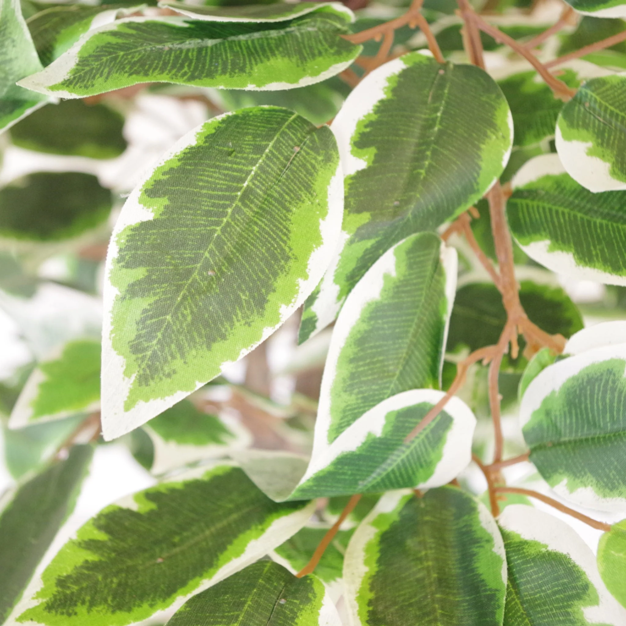130cm LARGE Realistic White Edge Ficus Artificial Plant Tree - Image 2
