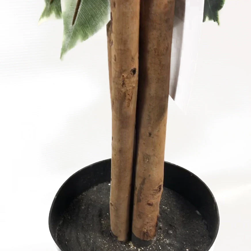 130cm Tall Variegated White/Green Bushy Ficus Tree - Image 4