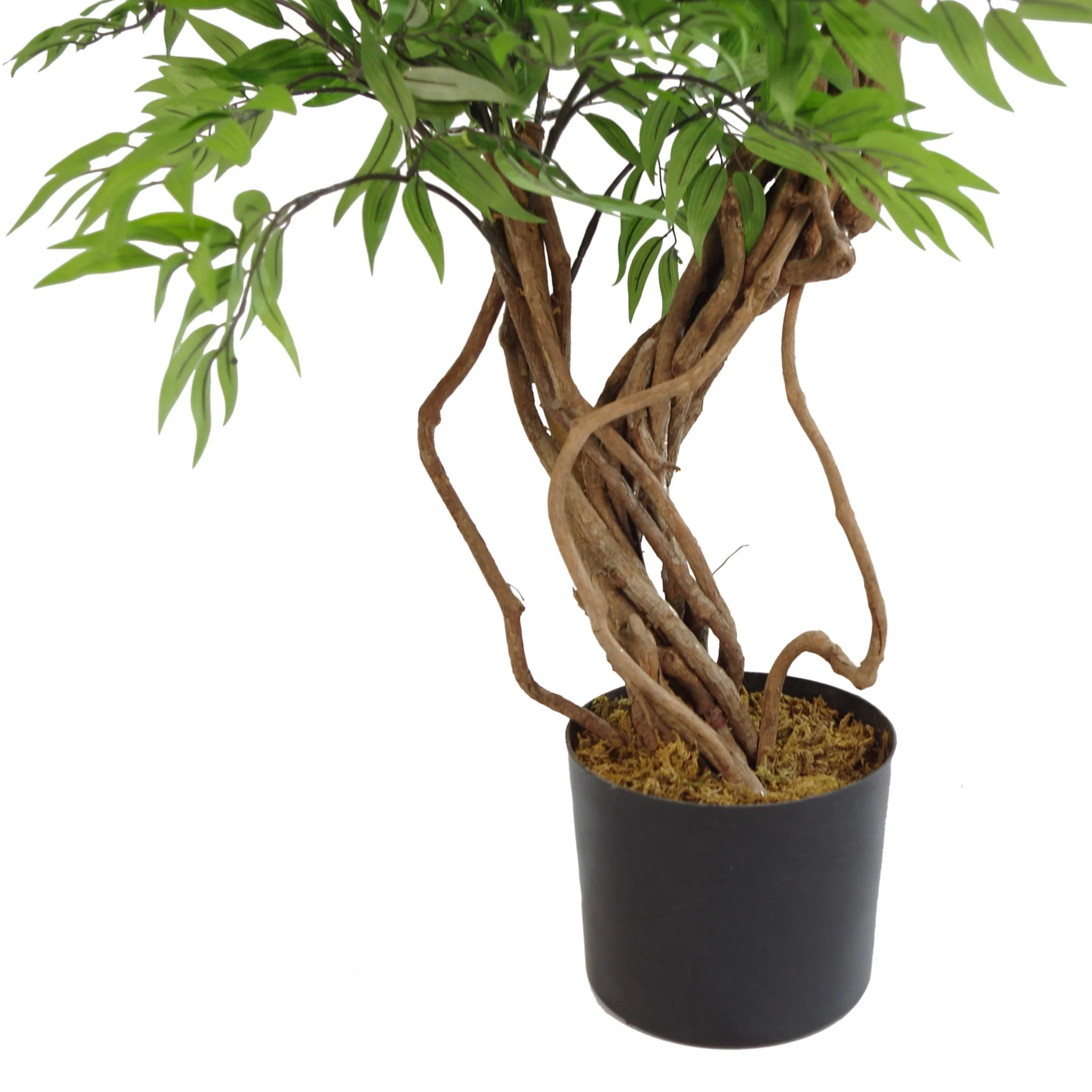 140cm Realistic Artificial Japanese Fruticosa Tree Ficus Tree Gold Metal Brushed Brass Planter - Image 3