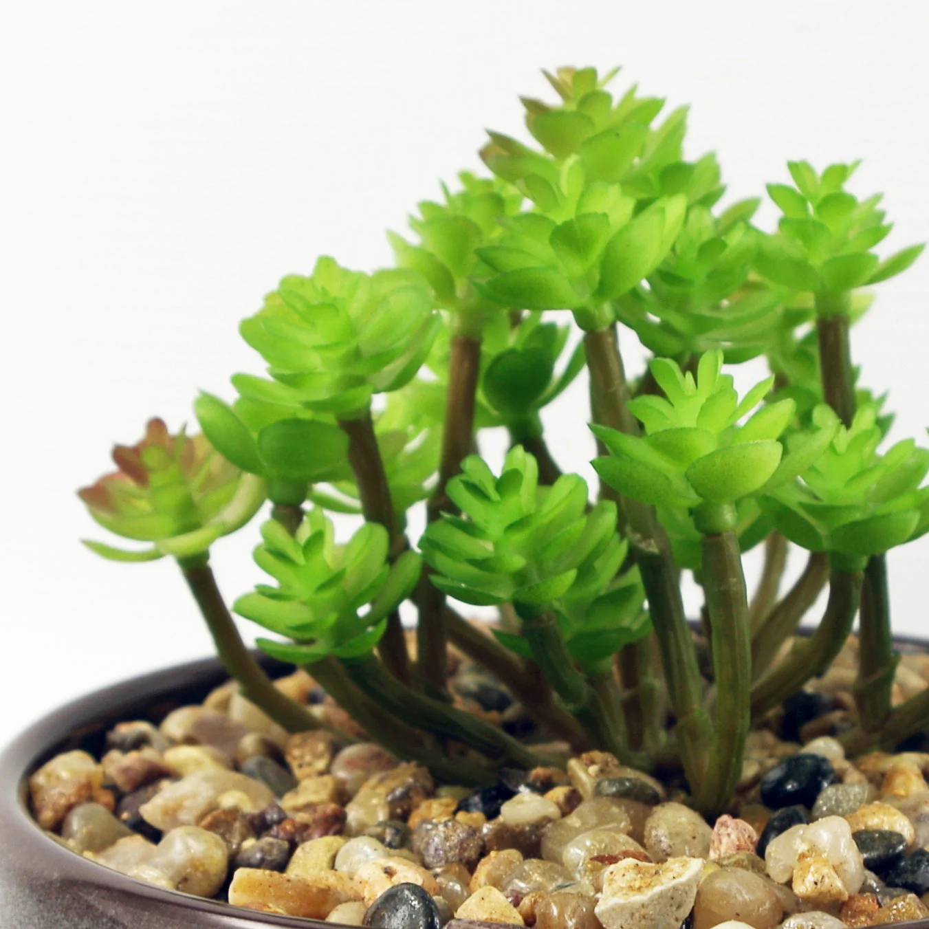 14cm Ceramic Blue Dish Planter with Artificial Sedum Clavatum Plant - Image 2