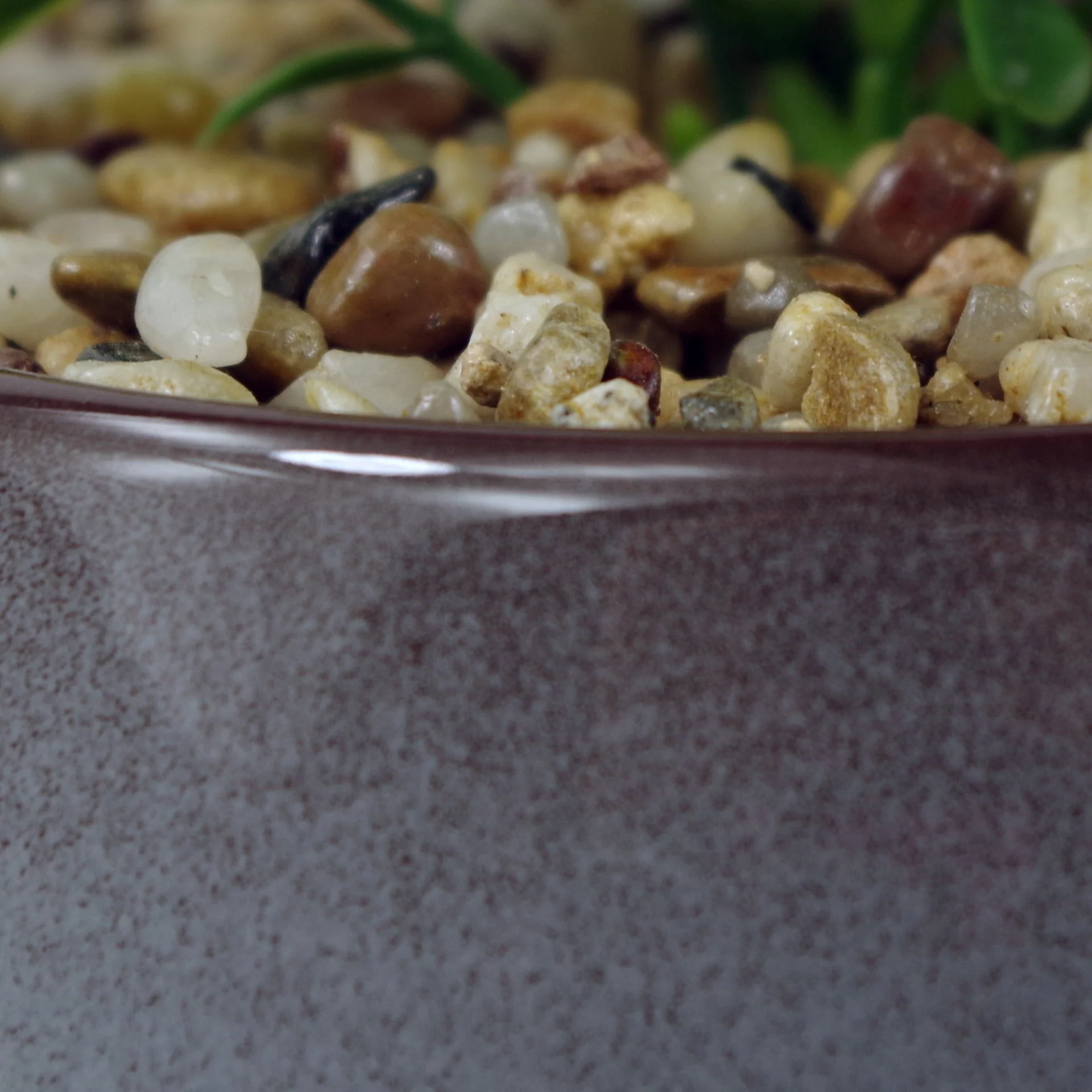 14cm Ceramic Blue Dish Planter with Artificial Sedum Clavatum Plant - Image 3