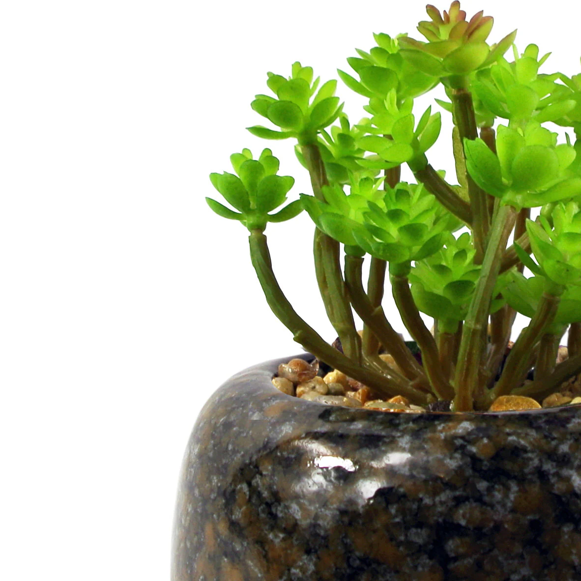 14cm Ceramic Spotted Planter with Artificial Sedum Clavatum Plant - Image 2