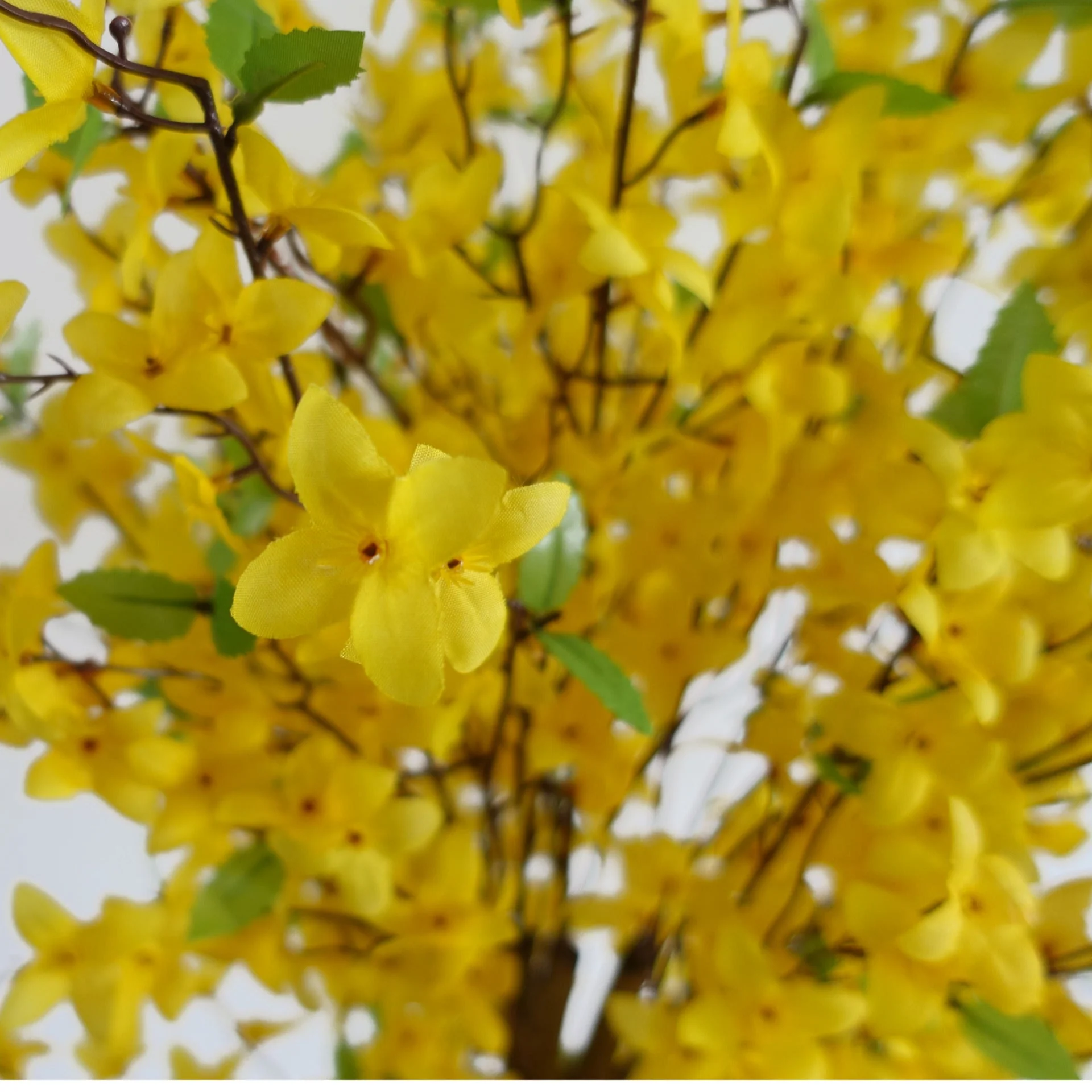 150cm Artificial Forsythia Tree Yellow Blossom - Image 2