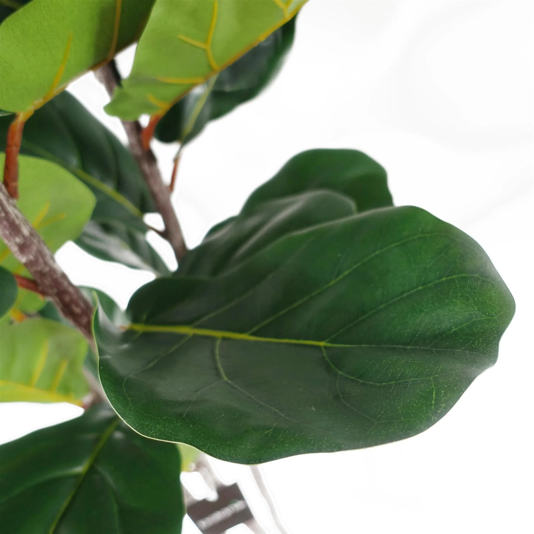 150cm Premium Artificial Fiddle Fig Tree - Image 2