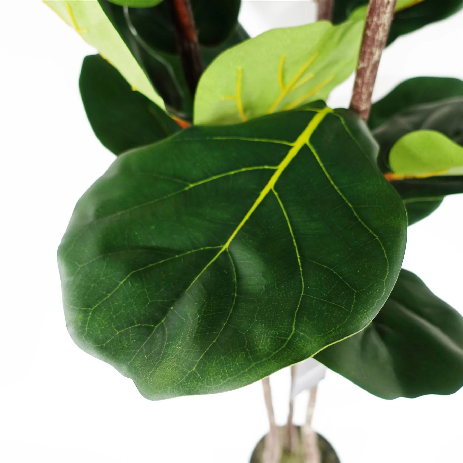 150cm Premium Artificial Fiddle Fig Tree - Image 3
