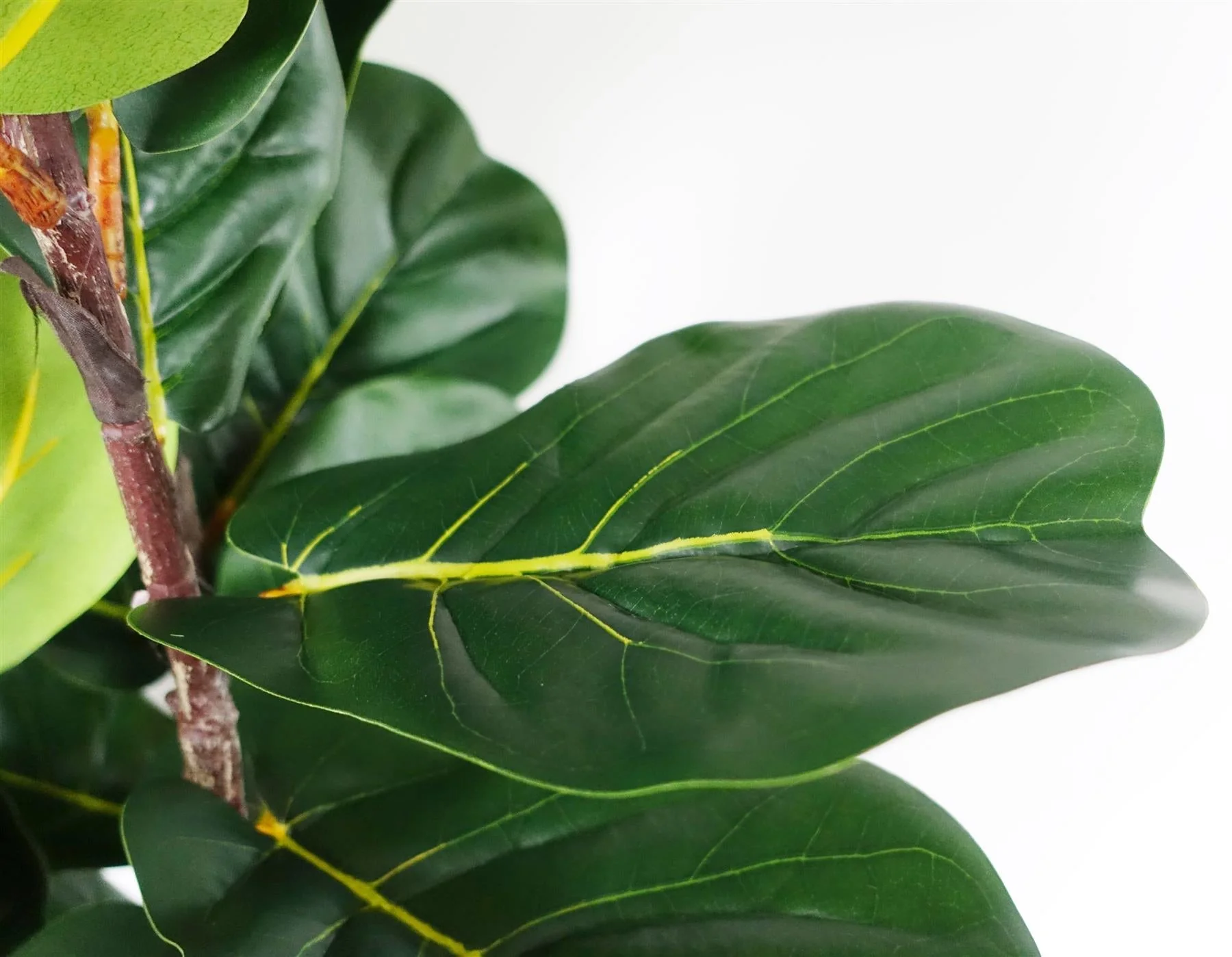 150cm Premium Artificial Fiddle Fig Tree - Image 4