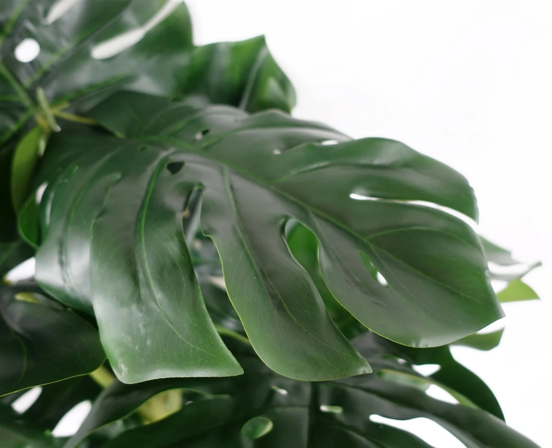 150cm Premium Artificial Monstera Plant - Image 3