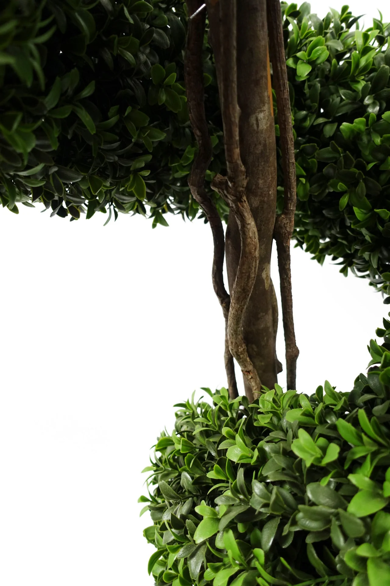 150cm Sprial Buxus Artificial Tree UV Resistant Outdoor - Image 3