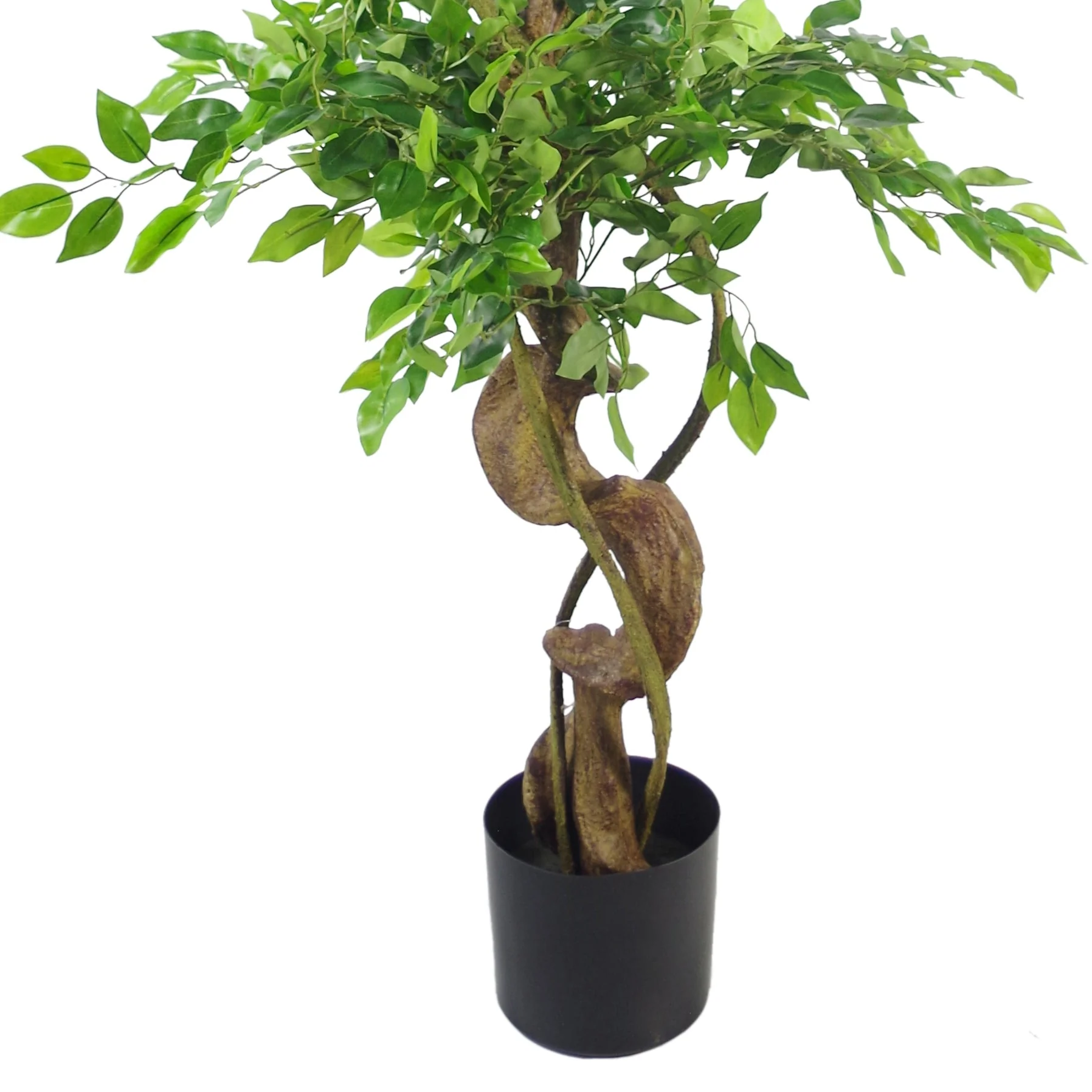 150cm Twisted Trunk Artificial Japanese Fruticosa Ficus Tree Black Planter - Image 2