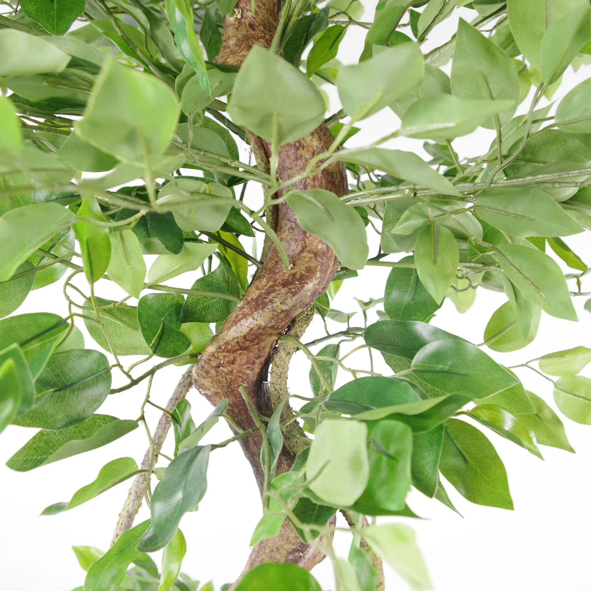 150cm Twisted Trunk Artificial Japanese Fruticosa Ficus Tree Rainbow Planter - Image 3