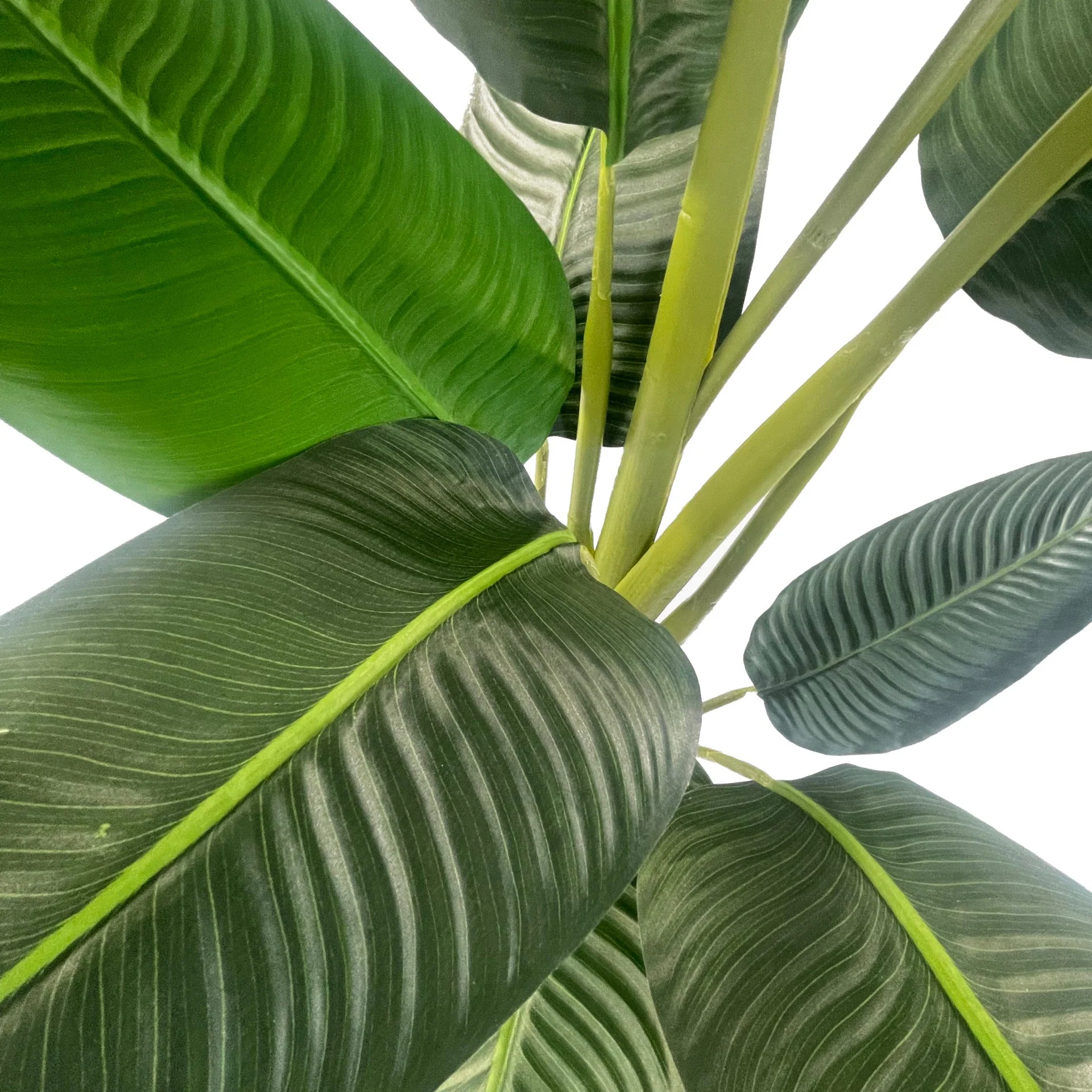 150cm UV Traveller Banana Palm Tree - Image 2