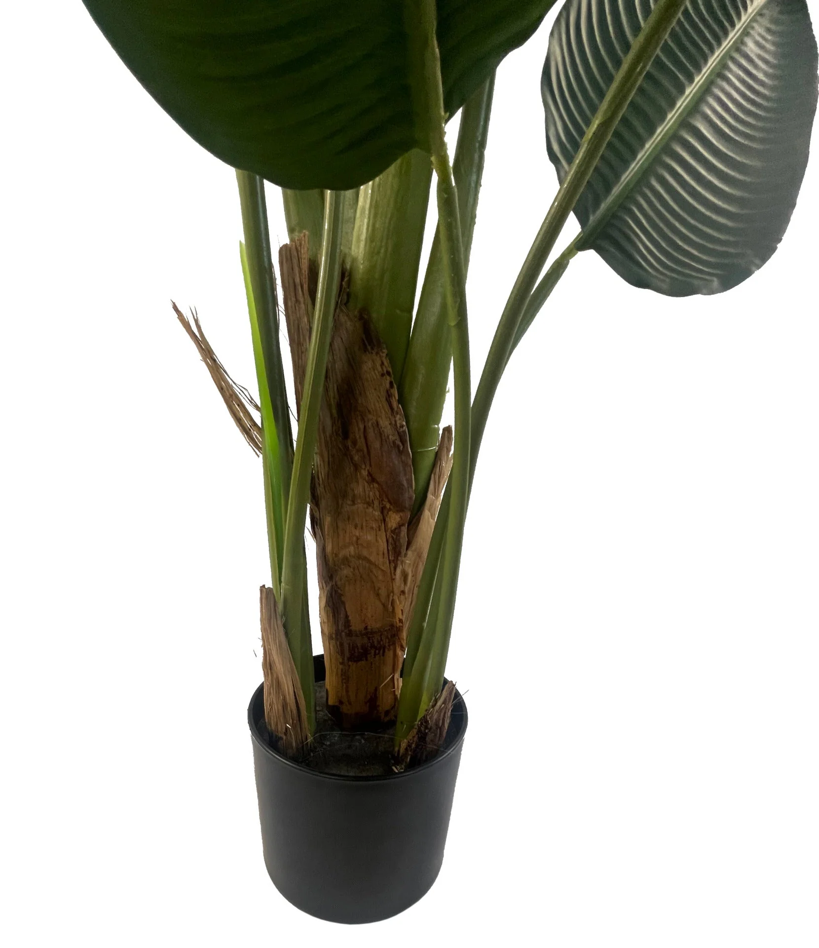 150cm UV Traveller Banana Palm Tree - Image 4