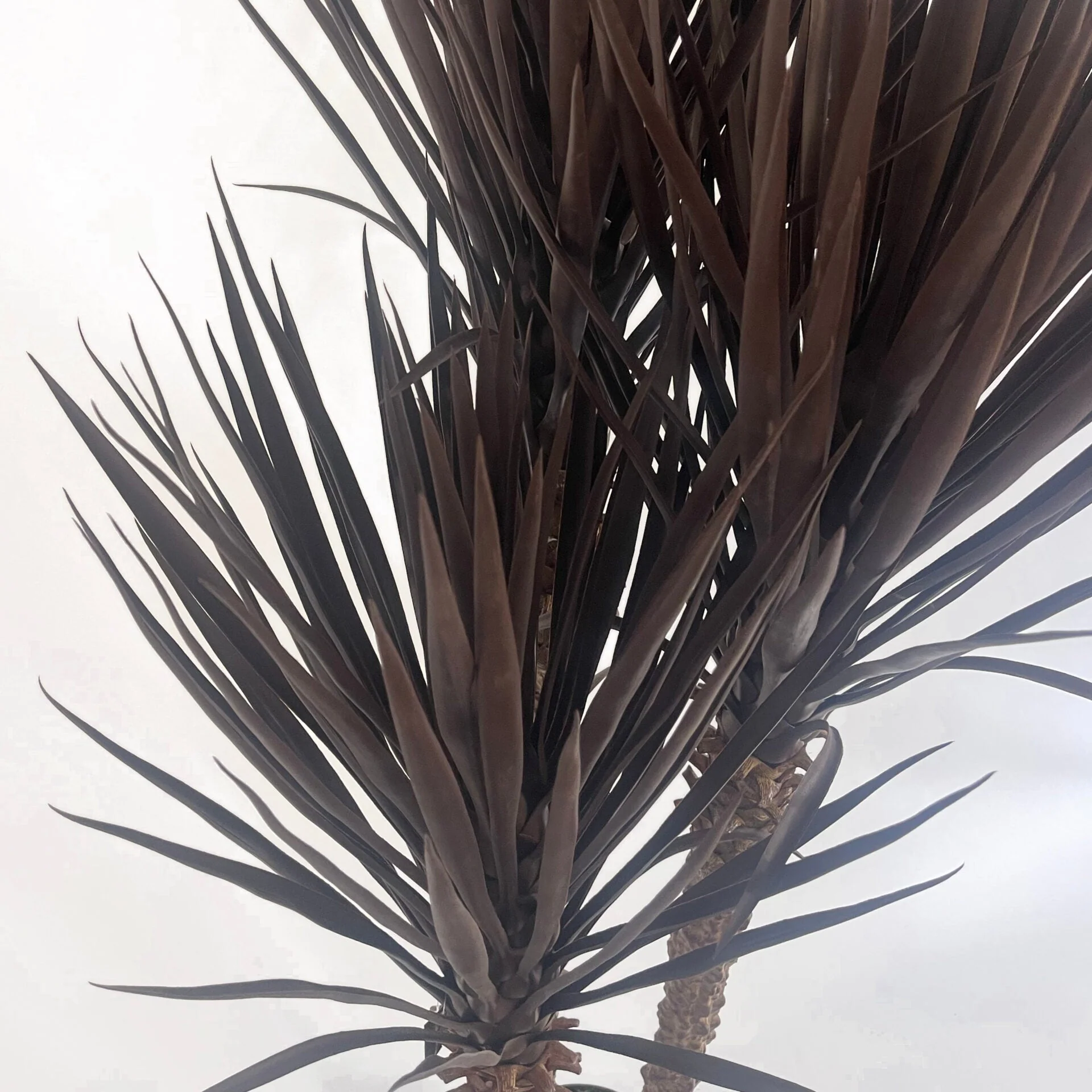 155cm Artificial Yukka Tree Plant Spiky UV Resistant Outdoor Tree Triple Dark Red / Brown - Image 3