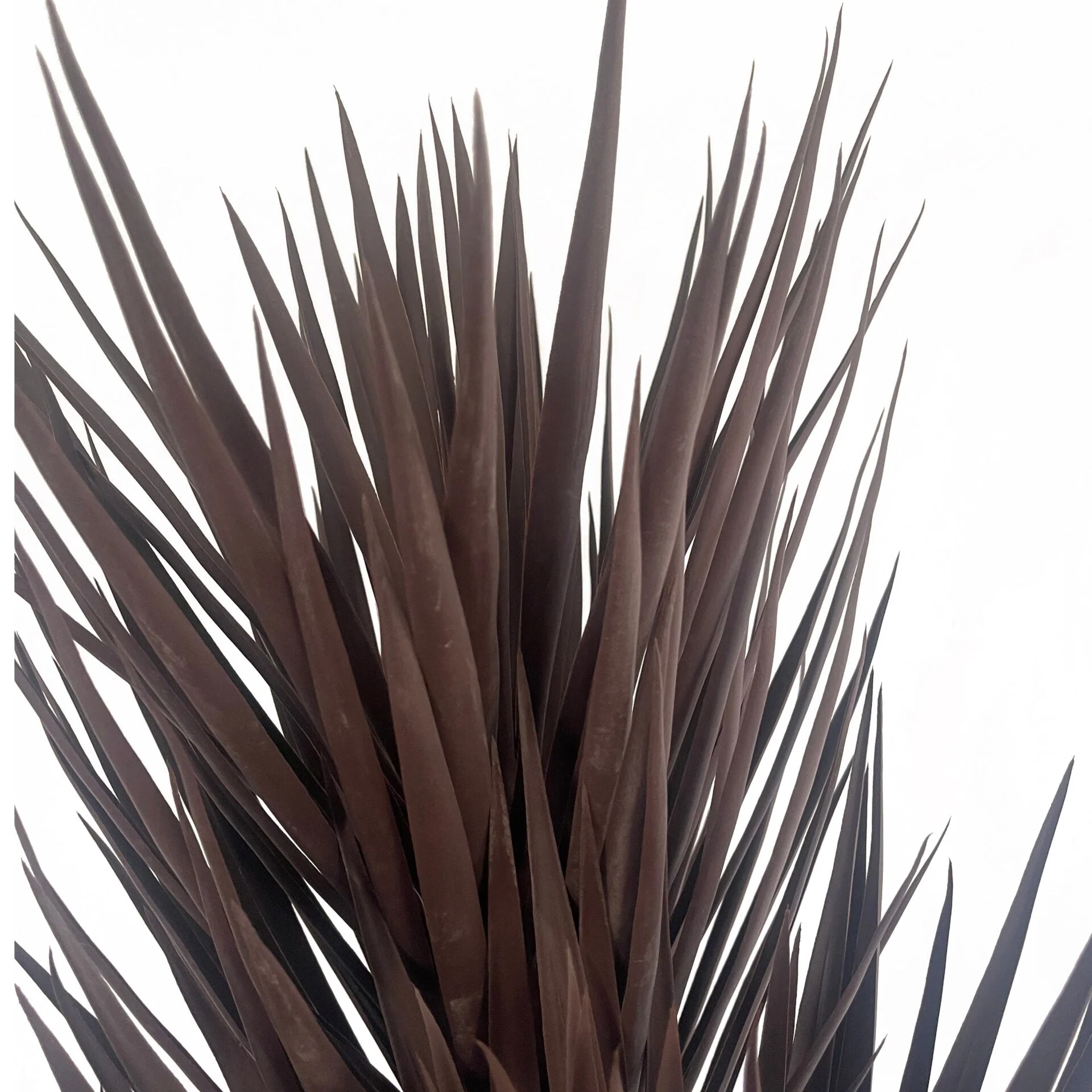 155cm Artificial Yukka Tree Plant Spiky UV Resistant Outdoor Tree Triple Dark Red / Brown - Image 4