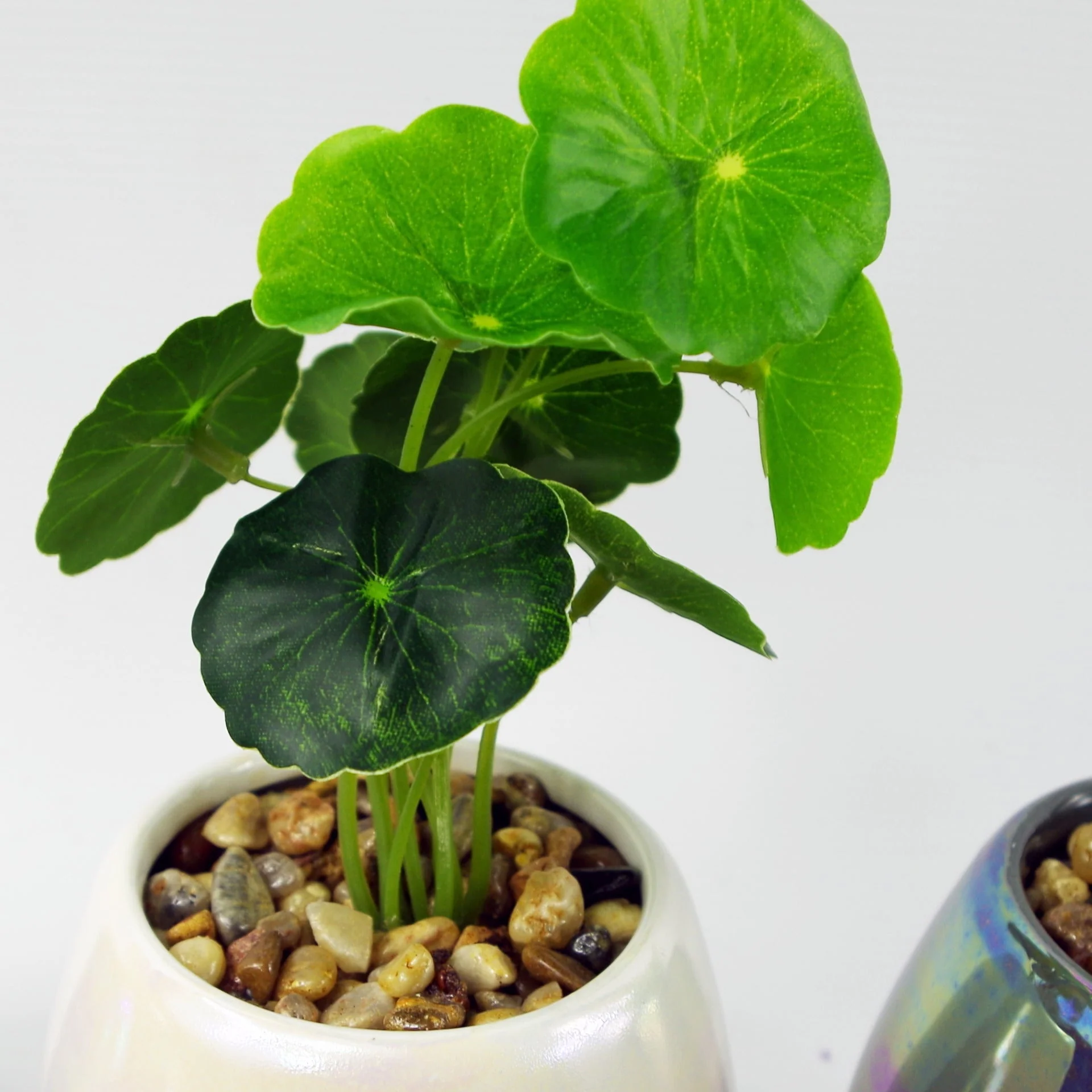 15cm Set of Three Grey White Mix Ceramic Mini Planters with Artificial Succulent Plants - Image 4