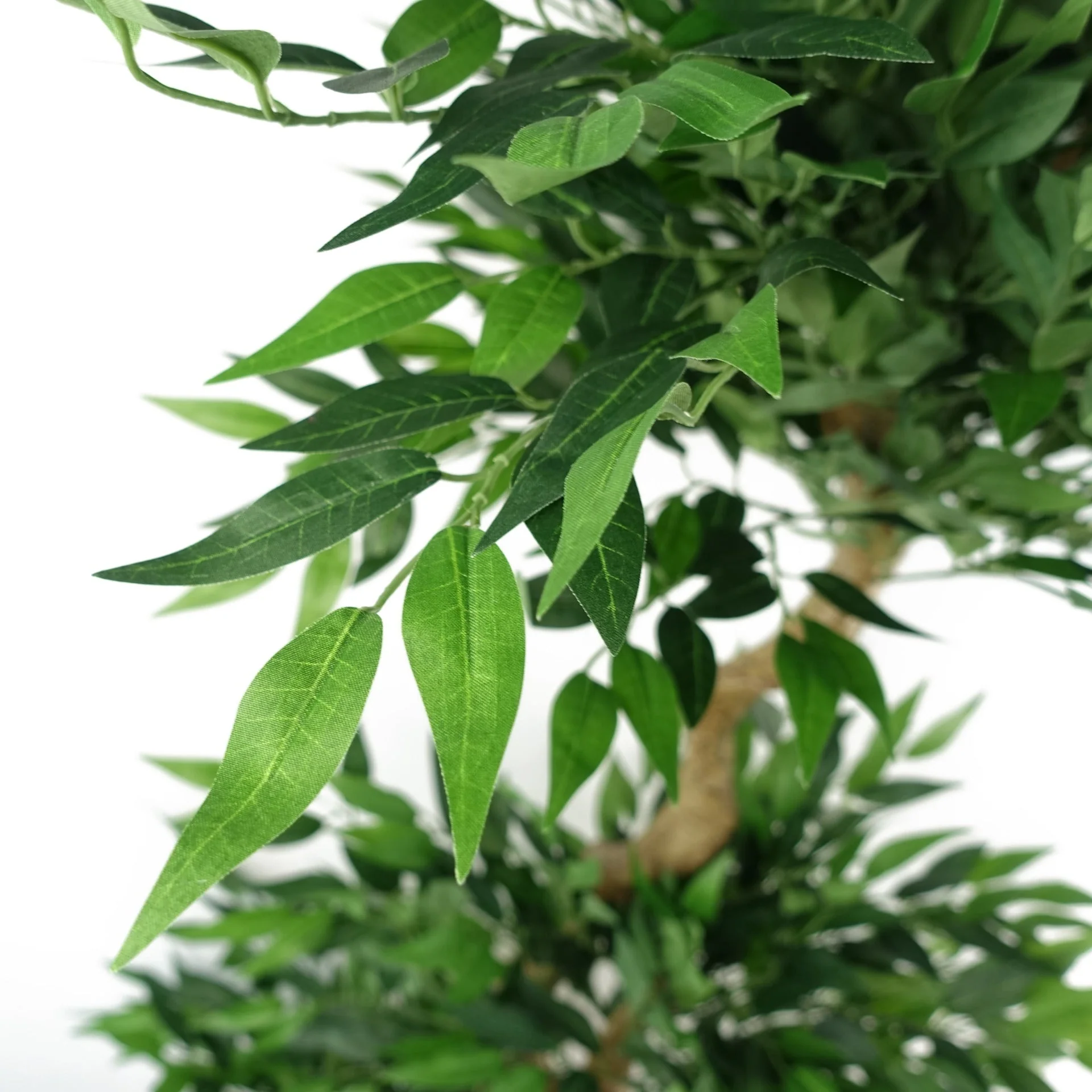 160cm Ruscus Double Twist Trunk Natural Look Japanese Tree - Image 4
