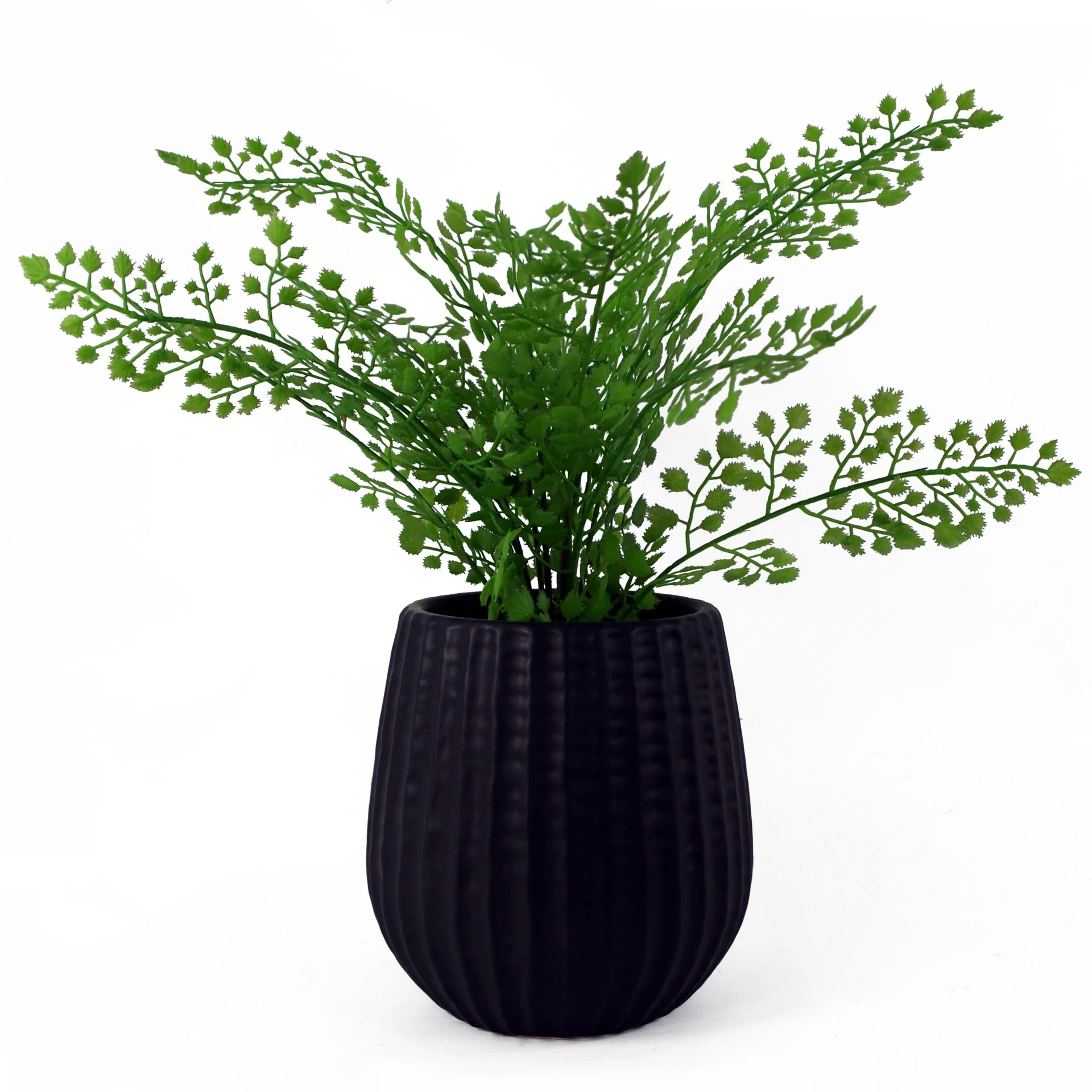 16cm Black Ceramic Planter - Image 2